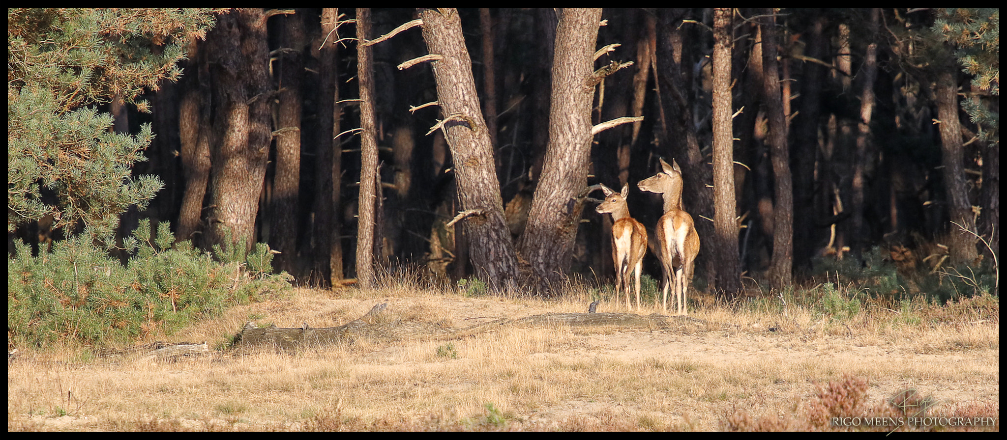 Canon EF 70-200mm F4L USM sample photo. Leaving the scene photography