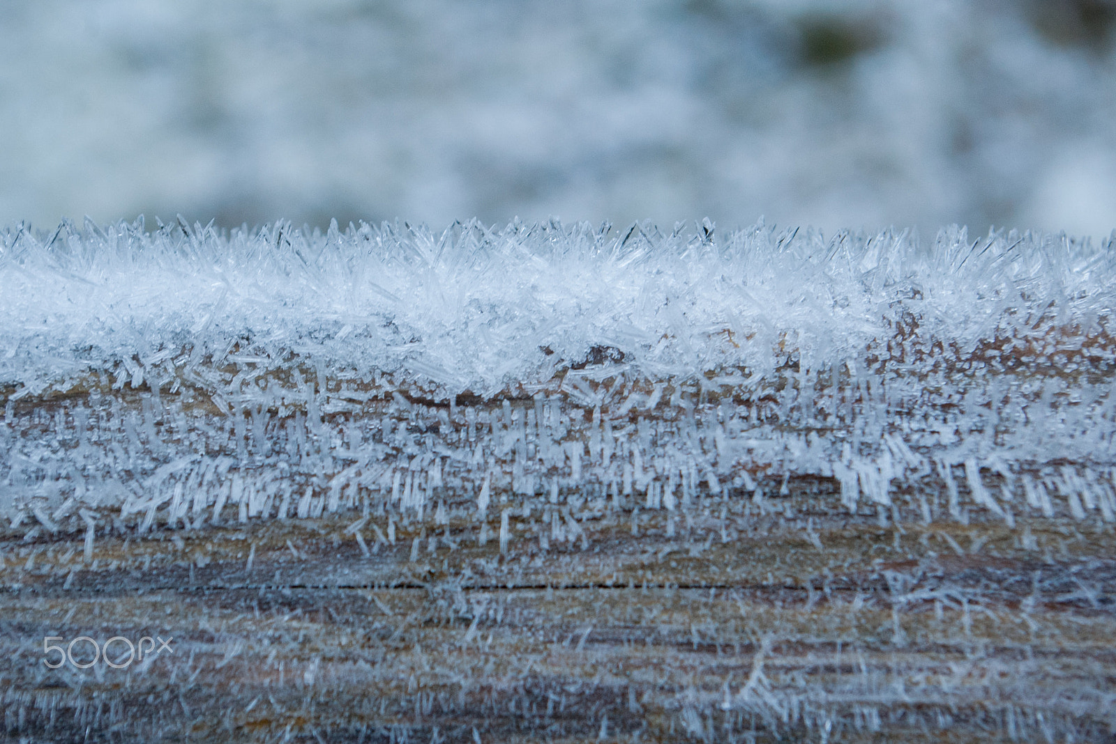 Pentax *ist DL sample photo. Ice needles by nature photography