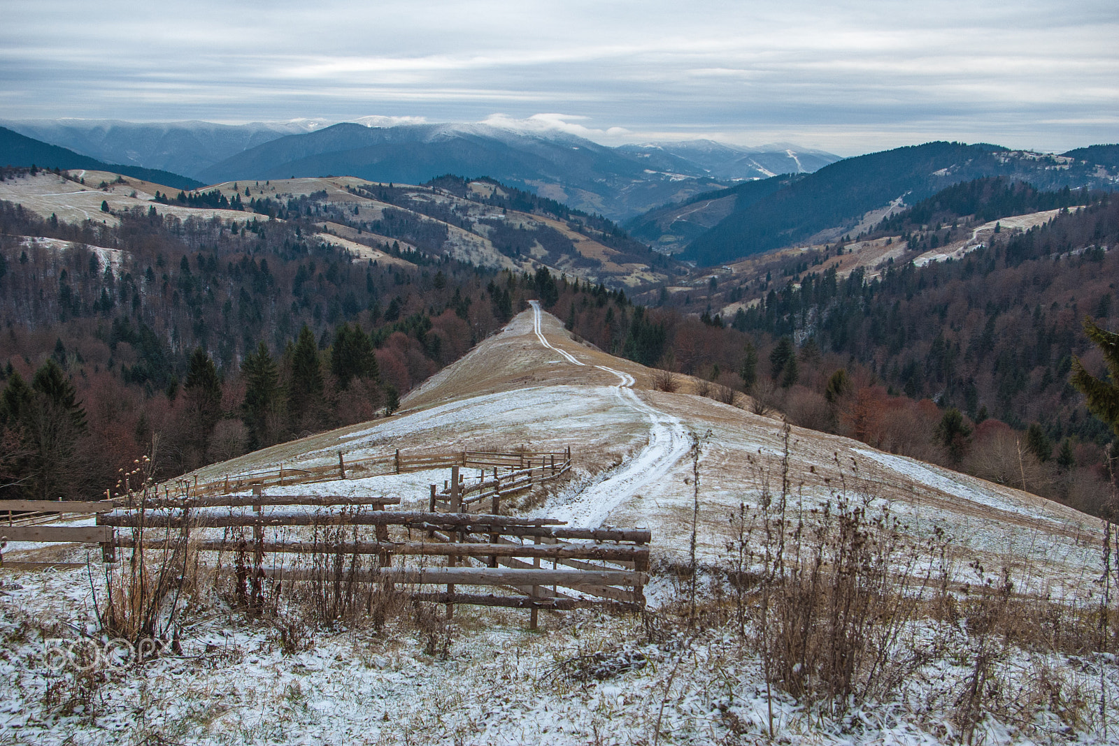 Pentax *ist DL sample photo. Road in the fairy forest. carpathian mountains photography