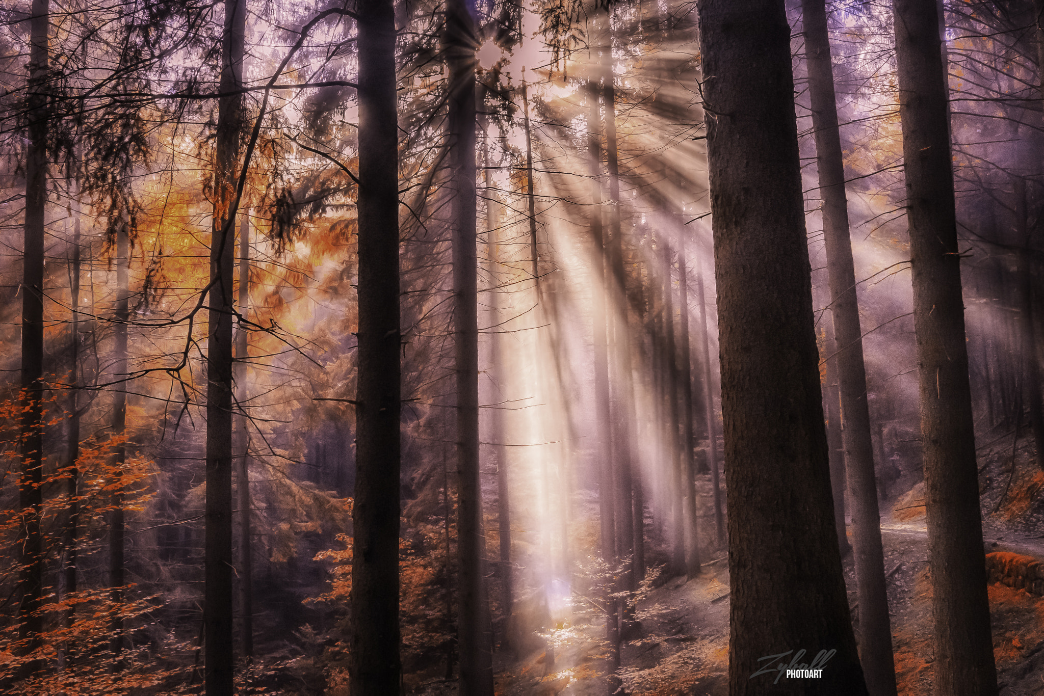 Panasonic Lumix DMC-GH3 sample photo. Herbststimmung photography
