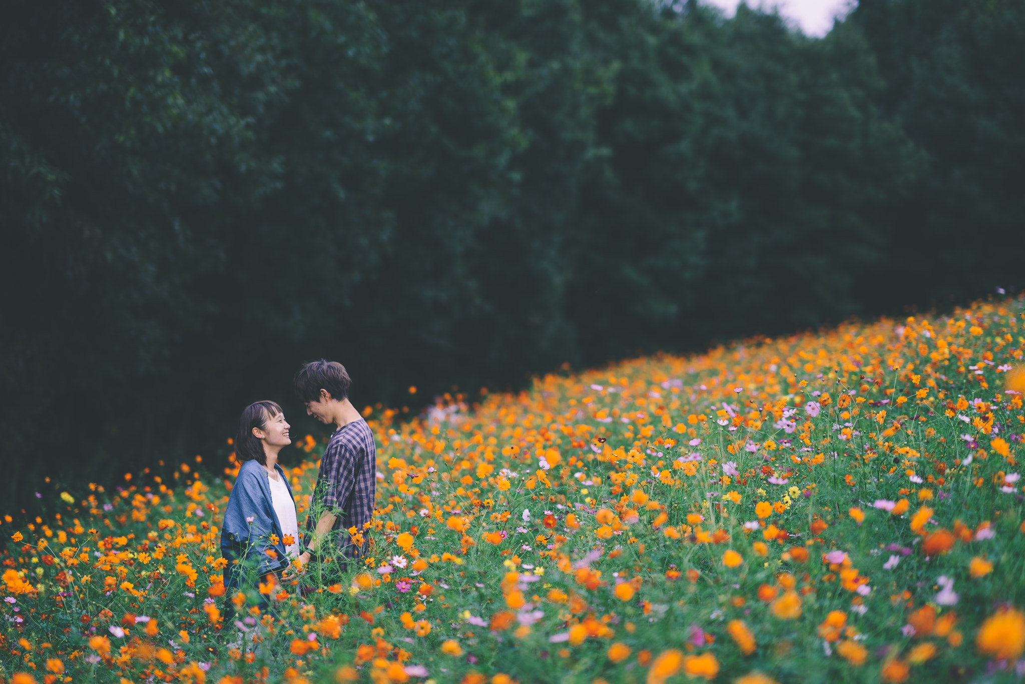FE 85mm F0 sample photo. Untitled photography
