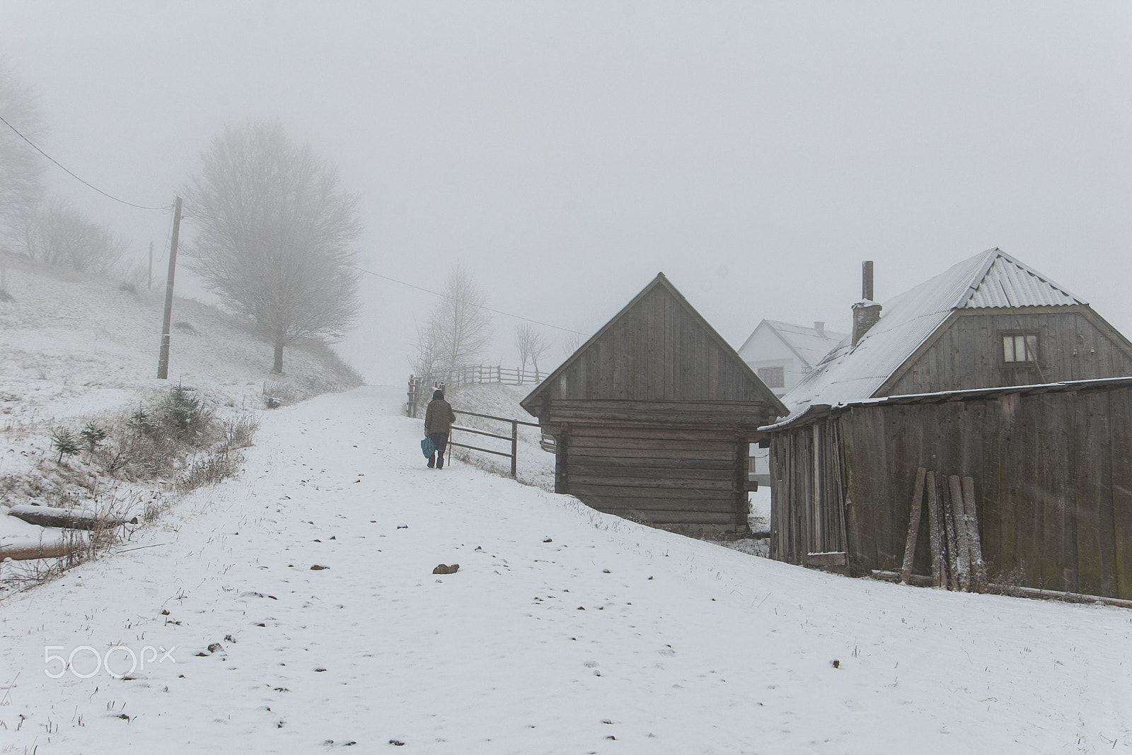 Pentax *ist DL sample photo. Foggy morning in the village. carpathians, ukraine. photography