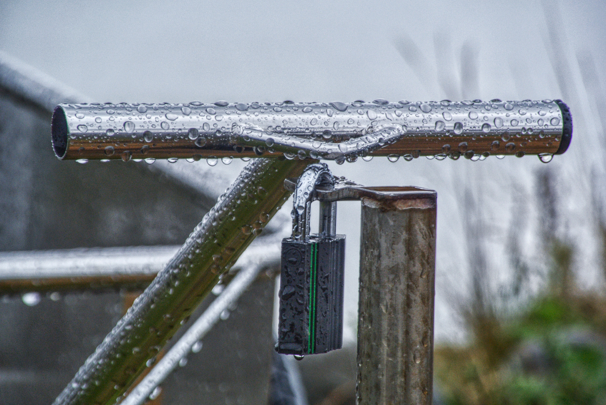 Nikon 1 V1 sample photo. Wet look photography