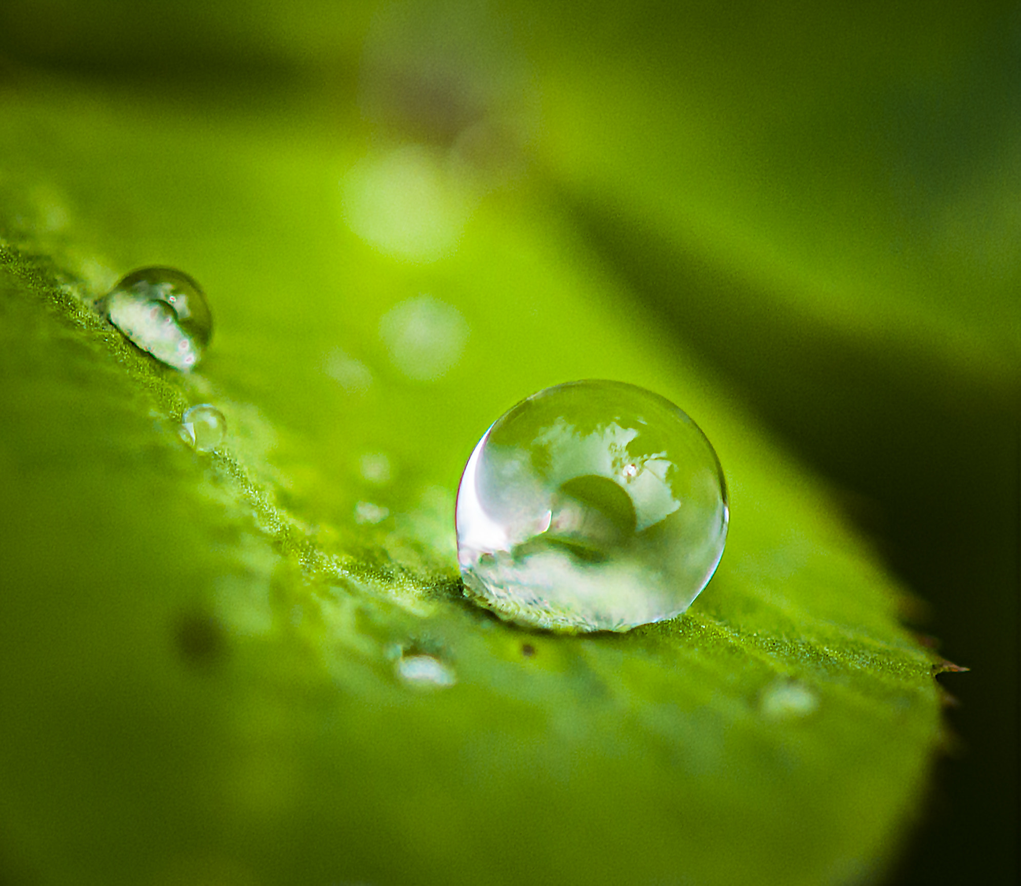 Nikon AF-S Micro-Nikkor 60mm F2.8G ED sample photo. Water drops photography