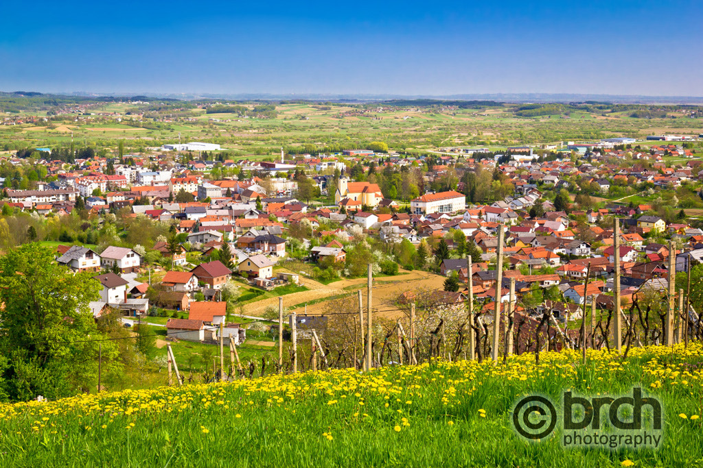 Canon EOS 550D (EOS Rebel T2i / EOS Kiss X4) + Canon EF 16-35mm F4L IS USM sample photo. Town of ivanec aerial springtime view photography
