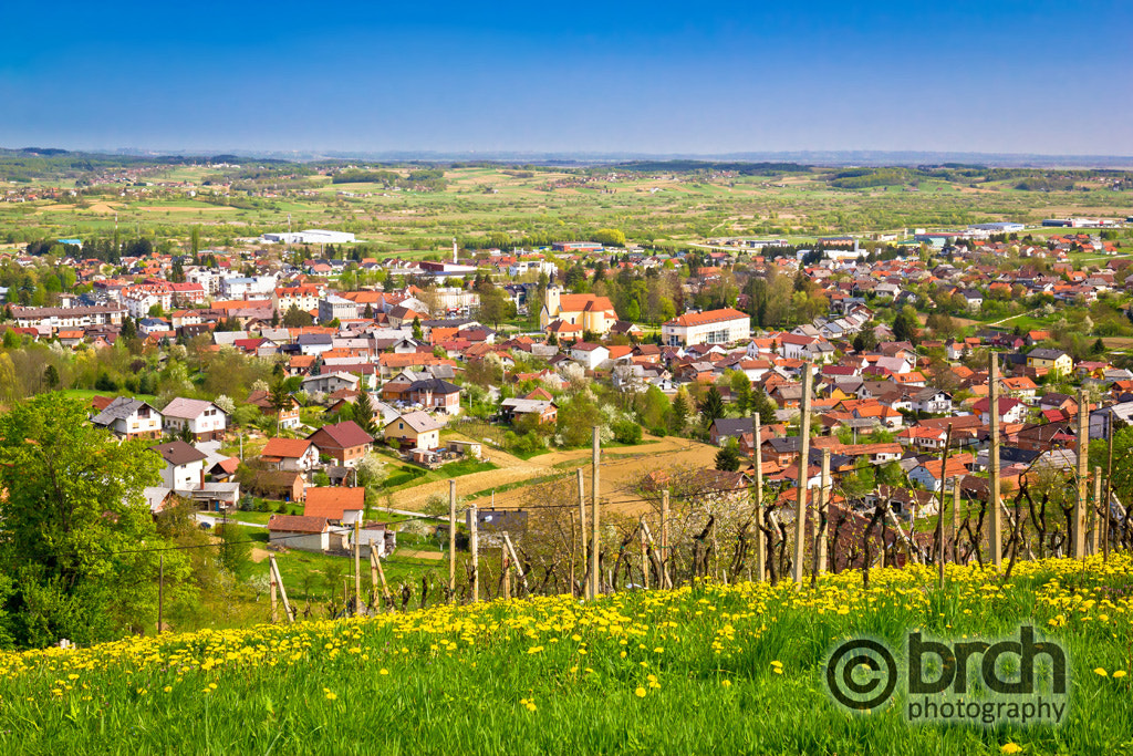 Canon EOS 550D (EOS Rebel T2i / EOS Kiss X4) + Canon EF 16-35mm F4L IS USM sample photo. Town of ivanec aerial springtime view photography