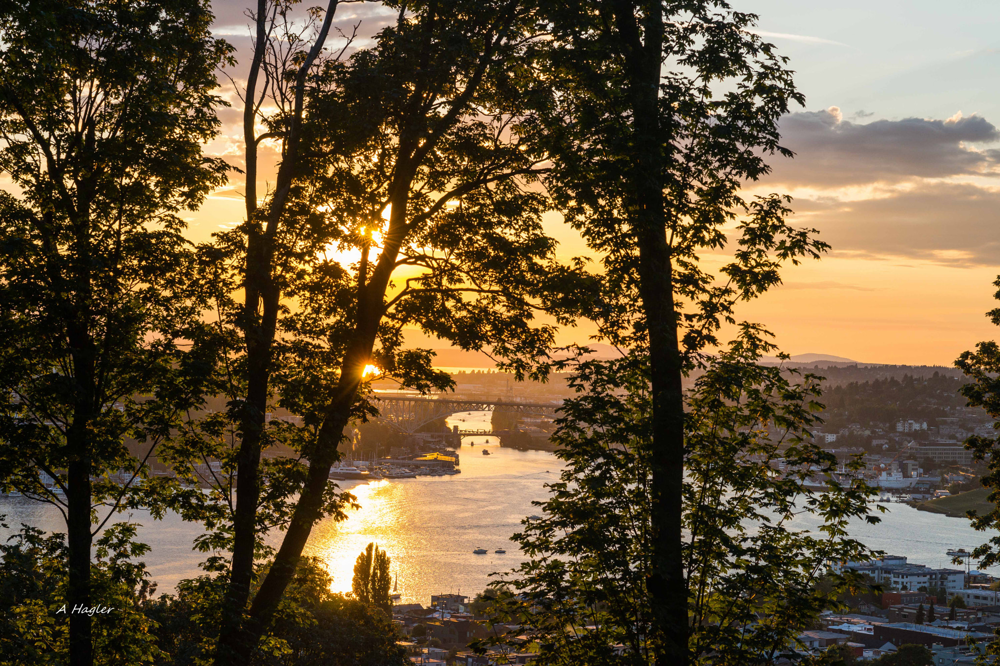 Sony Planar T* 85mm F1.4 ZA sample photo. Seattle wa lake union & ship canal photography