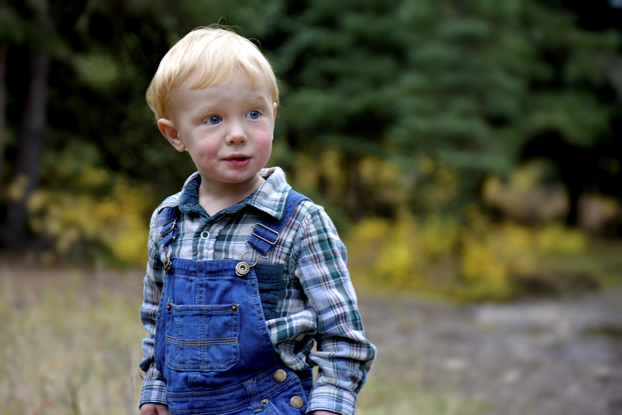 AF Zoom-Nikkor 28-105mm f/3.5-4.5D IF sample photo. Great thoughts, little man photography