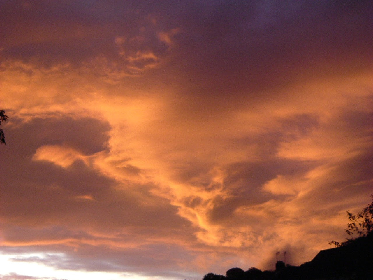 Fujifilm FinePix A205S sample photo. Animals in the clouds, wild boar. photography