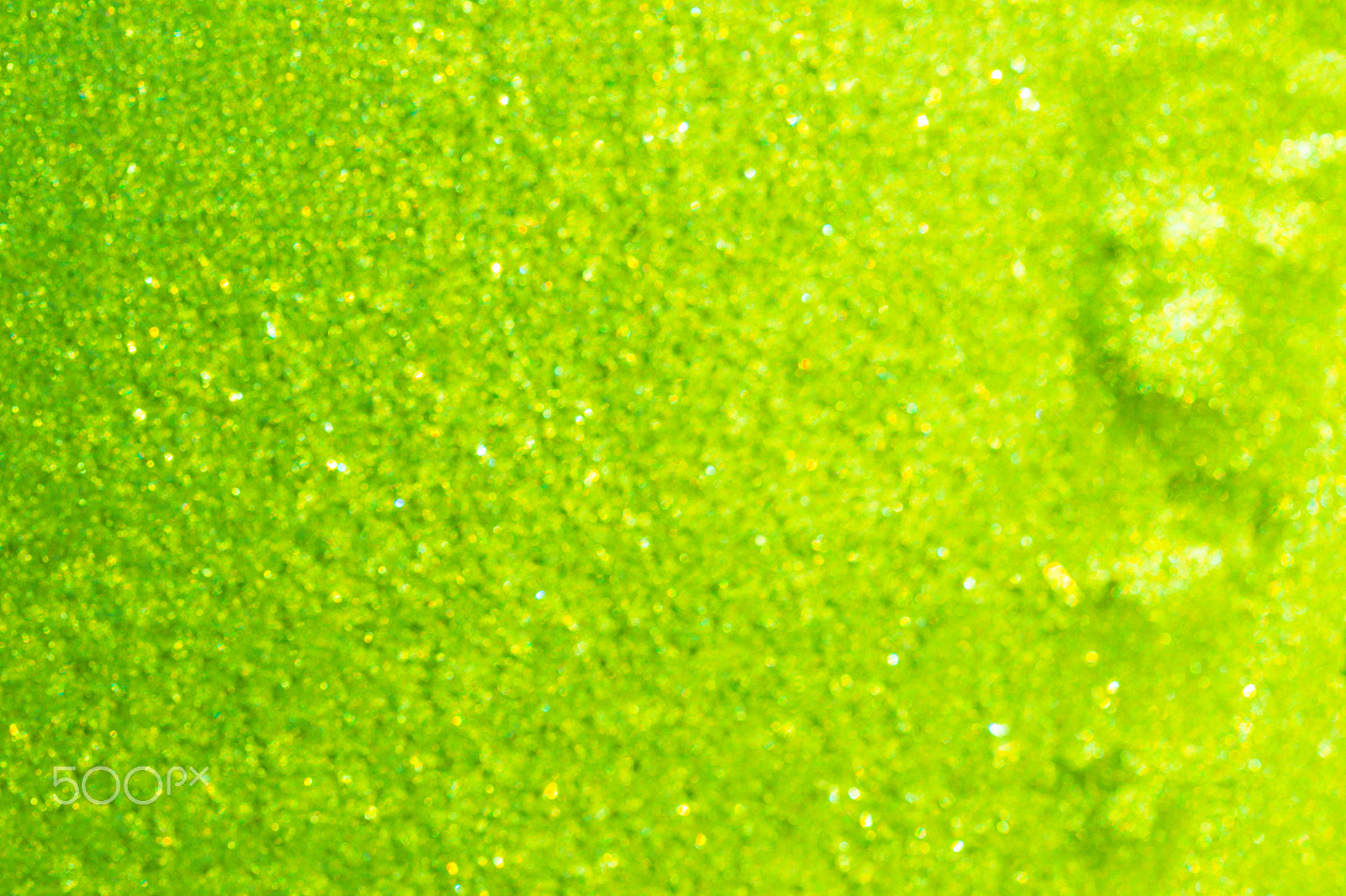 Canon EOS-1D Mark IV sample photo. Frosty pattern on glass, frost, ice, frozen couples screen saver photography