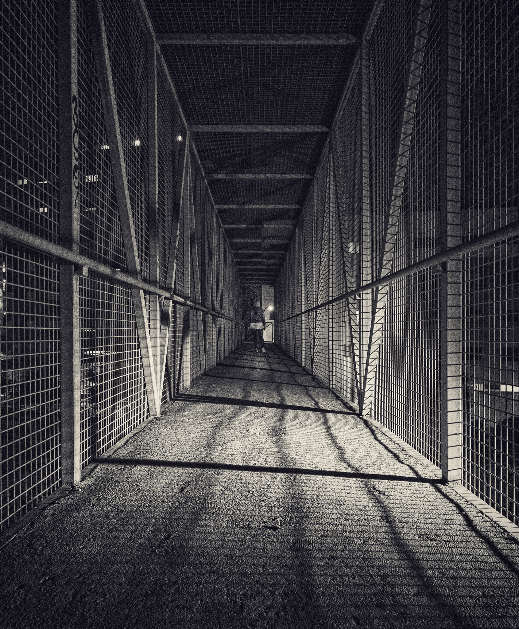 Apple iPhone9,4 sample photo. The dead bridge in madrid photography