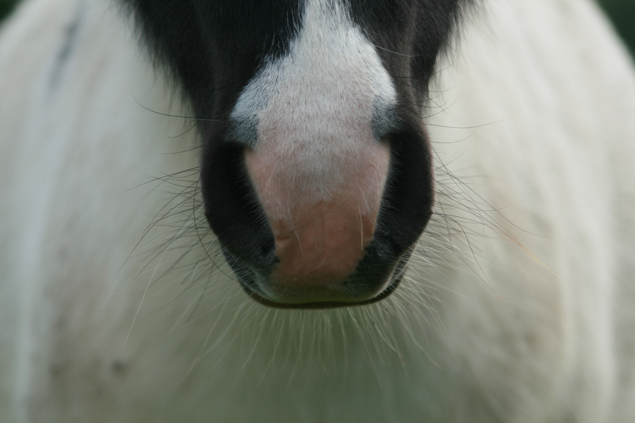 Canon EF 75-300mm f/4-5.6 USM sample photo. Untitled photography