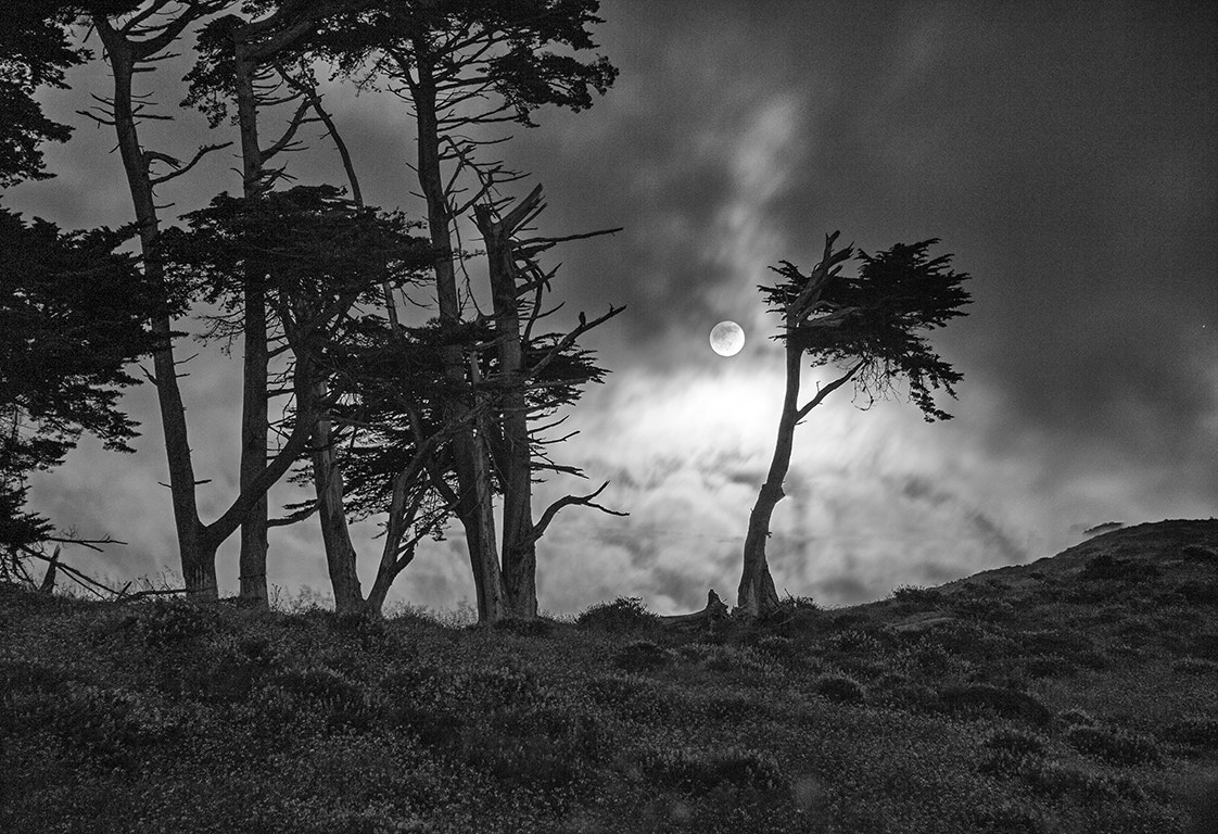 Nikon D4 sample photo. Hilltop moonrise photography