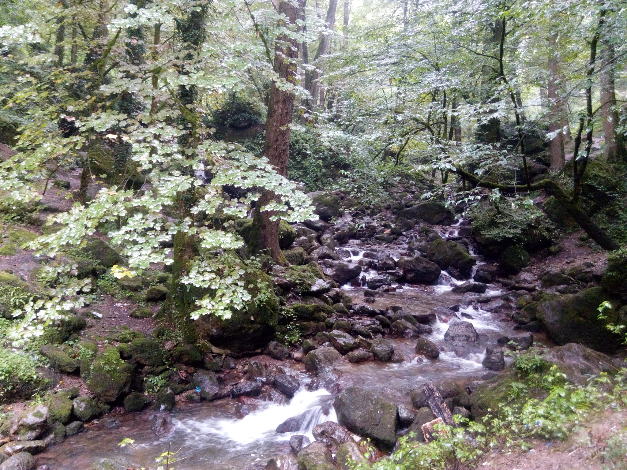 HTC DESIRE 816G DUAL SIM sample photo