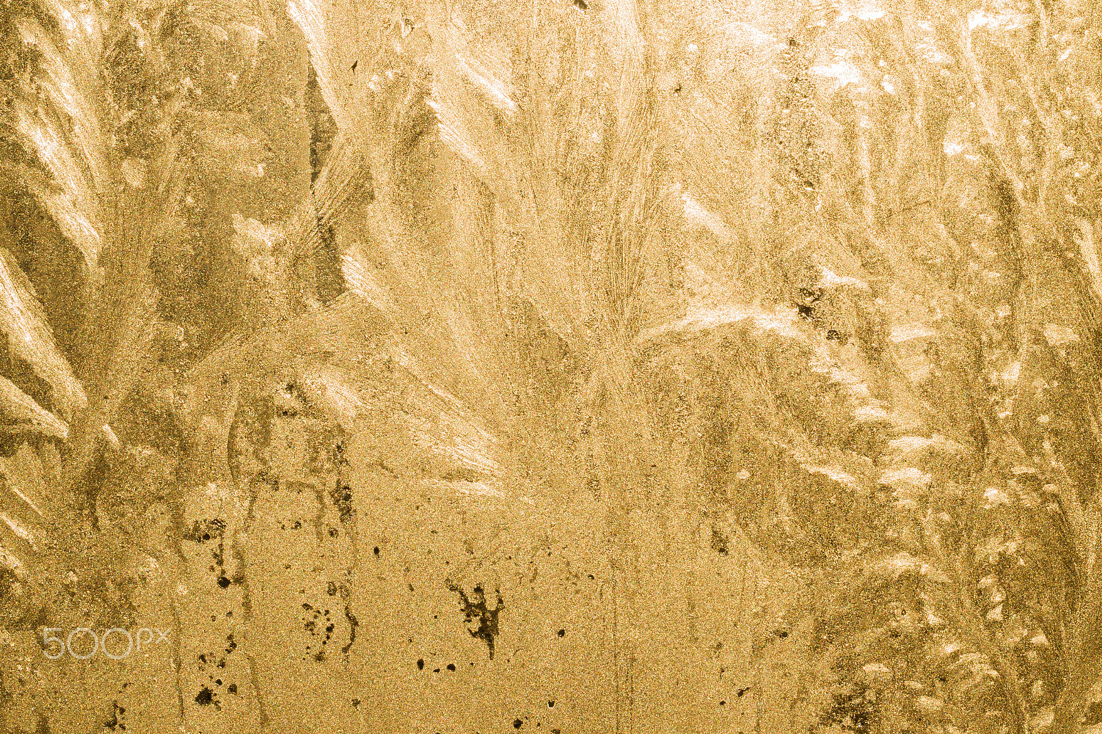 Canon EOS-1D Mark IV sample photo. Frosty pattern on glass, gold photography