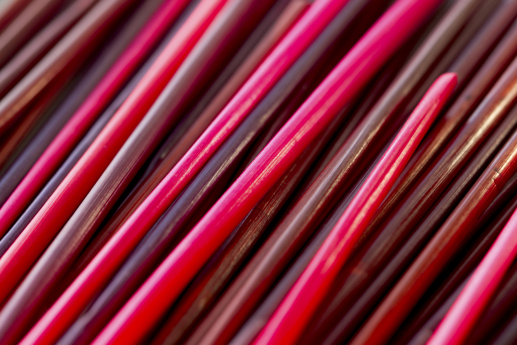 Canon EOS-1D Mark IV sample photo. Color links photography