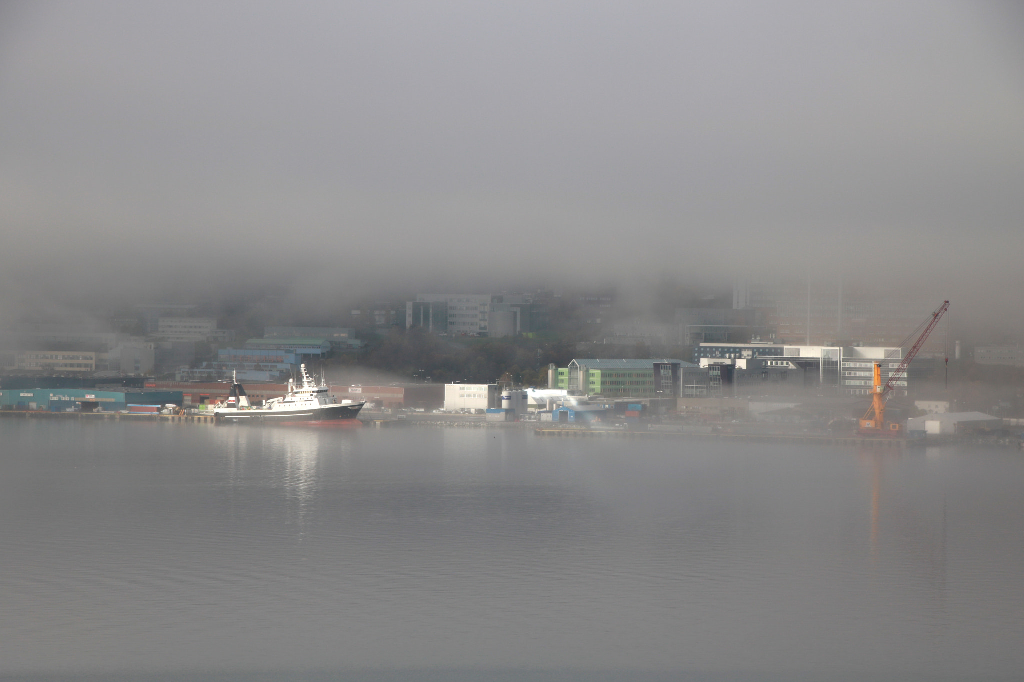 Canon EOS 750D (EOS Rebel T6i / EOS Kiss X8i) sample photo. In the fog... photography