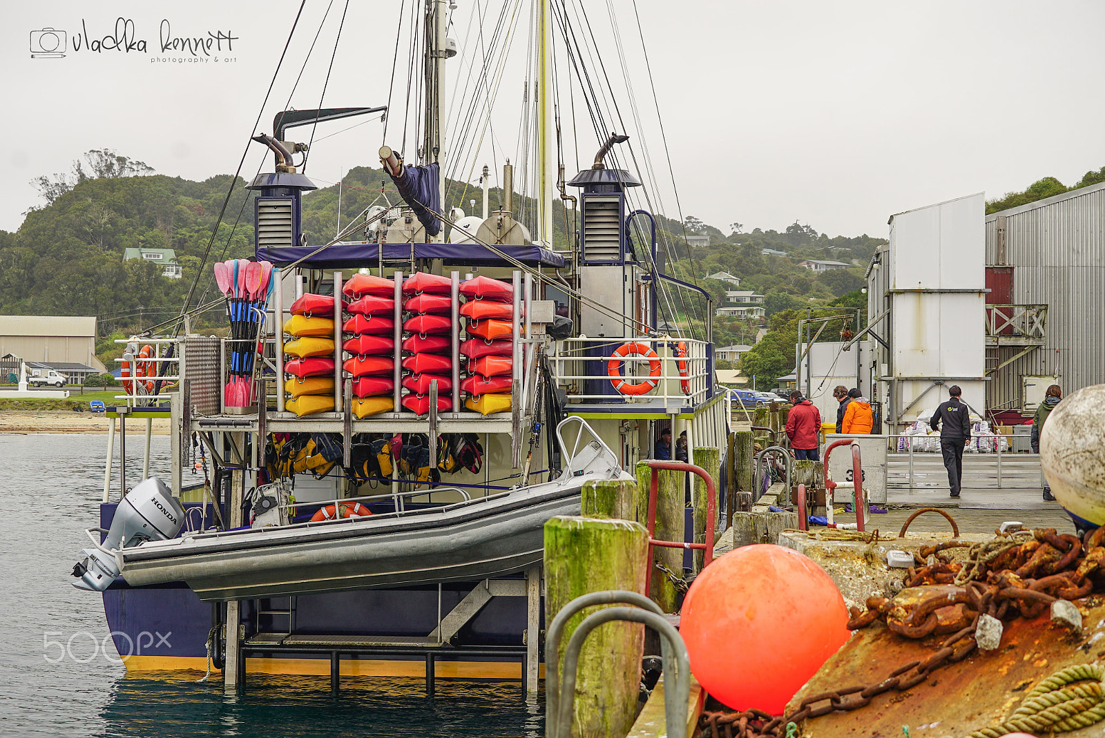 Sony a7S + Sony FE 70-200mm F4 G OSS sample photo. Stewart island discovery cruise photography