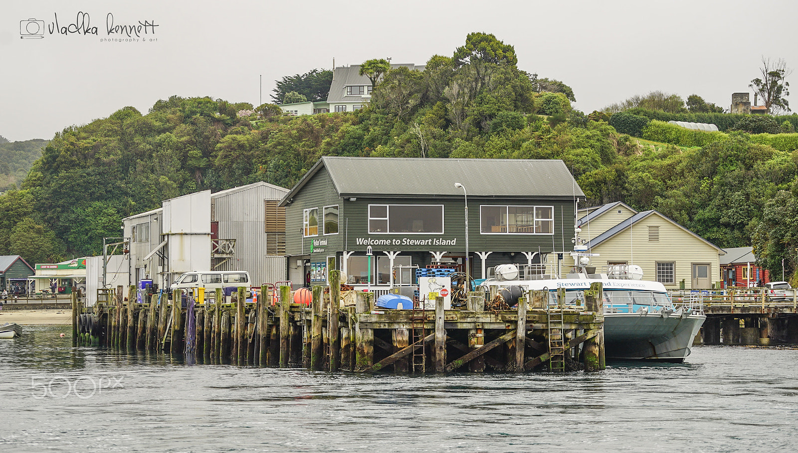 Sony a7S + Sony FE 70-200mm F4 G OSS sample photo. Stewart island discovery cruise photography