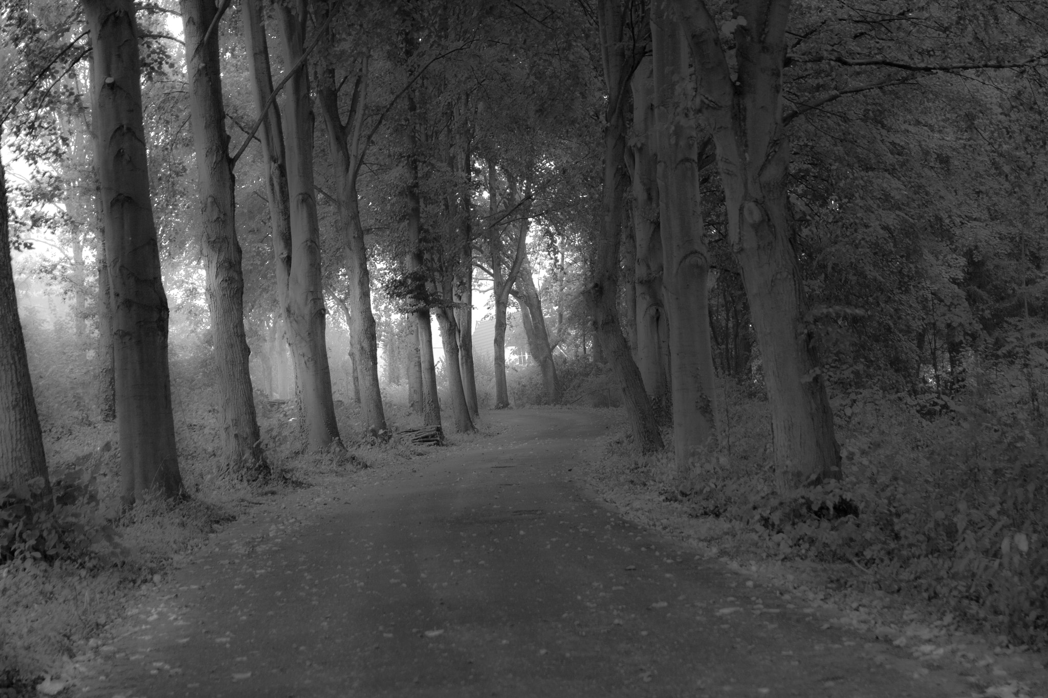 Canon EOS 400D (EOS Digital Rebel XTi / EOS Kiss Digital X) sample photo. Hit the road jack photography