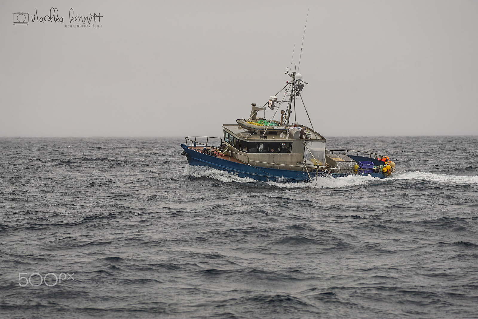 Sony a7S + Sony FE 70-200mm F4 G OSS sample photo. Stewart island discovery cruise photography