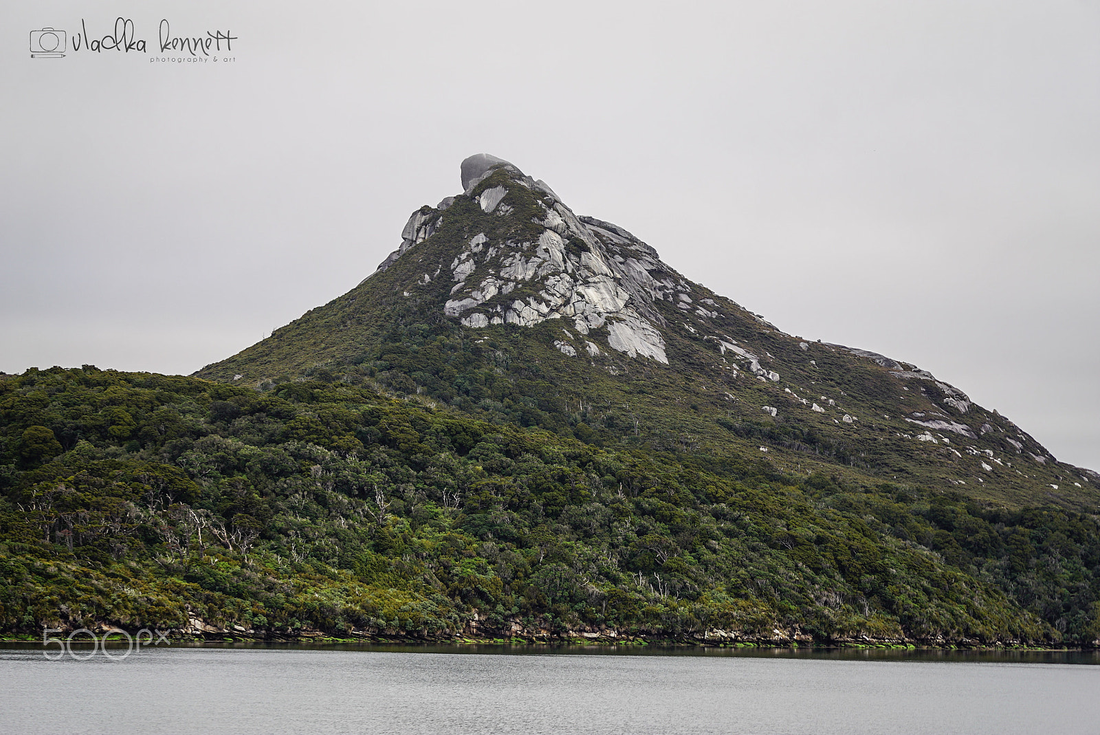 Sony a7S + Sony FE 70-200mm F4 G OSS sample photo. Stewart island discovery cruise photography