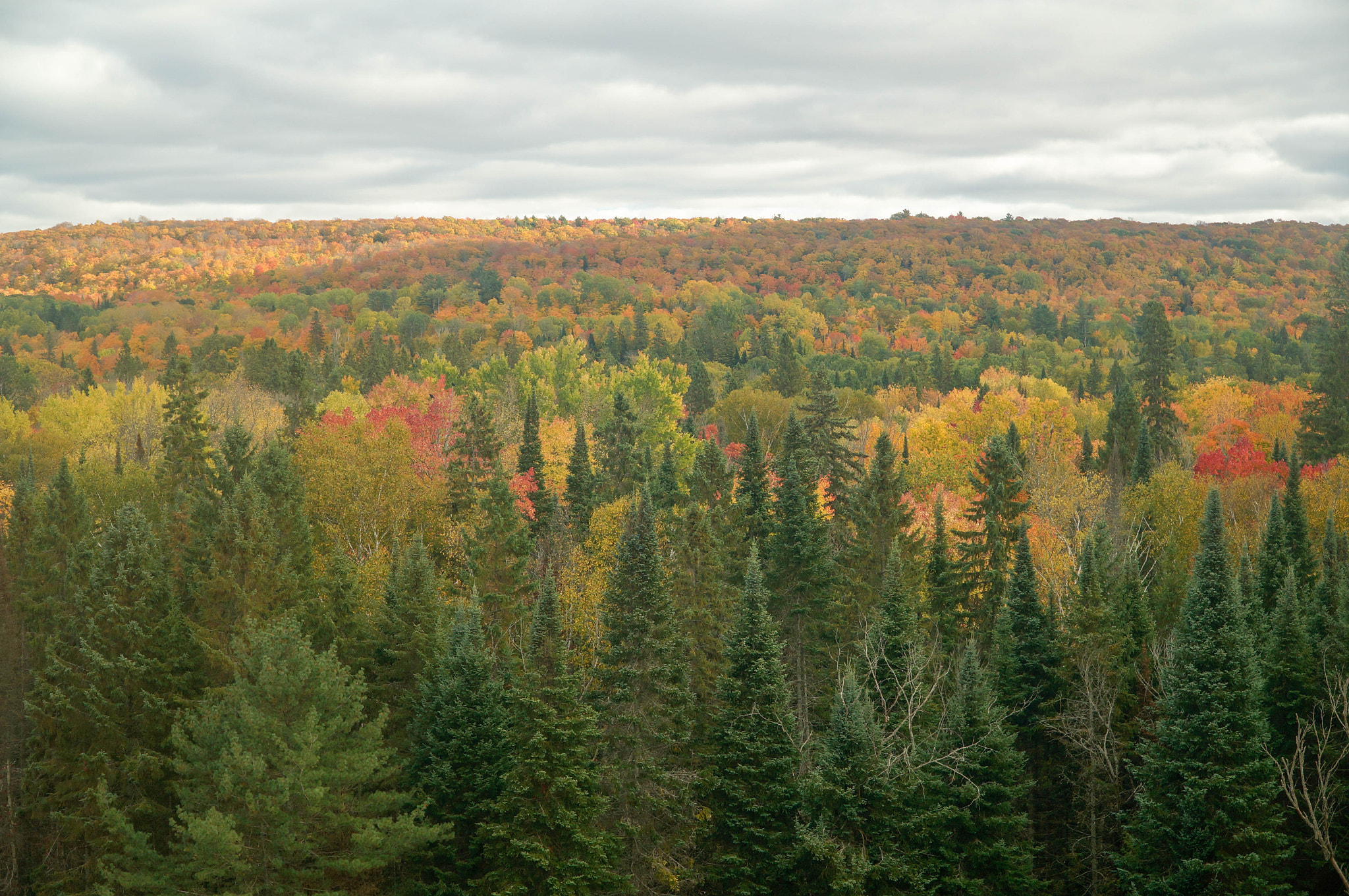 Sony Alpha NEX-6 + Sony E PZ 18-105mm F4 G OSS sample photo. Autumn vista photography