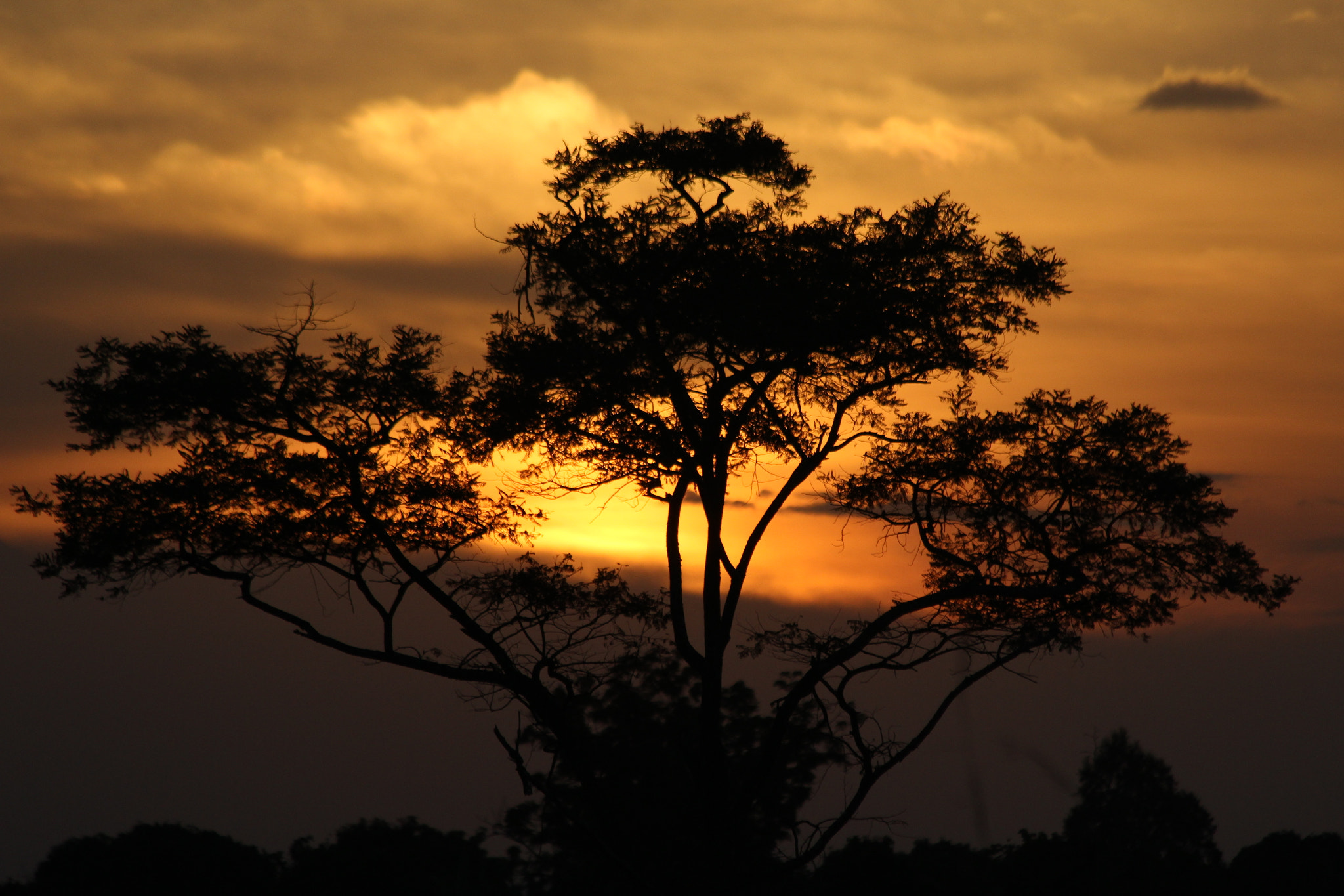 Canon EF 70-300mm F4-5.6 IS USM sample photo