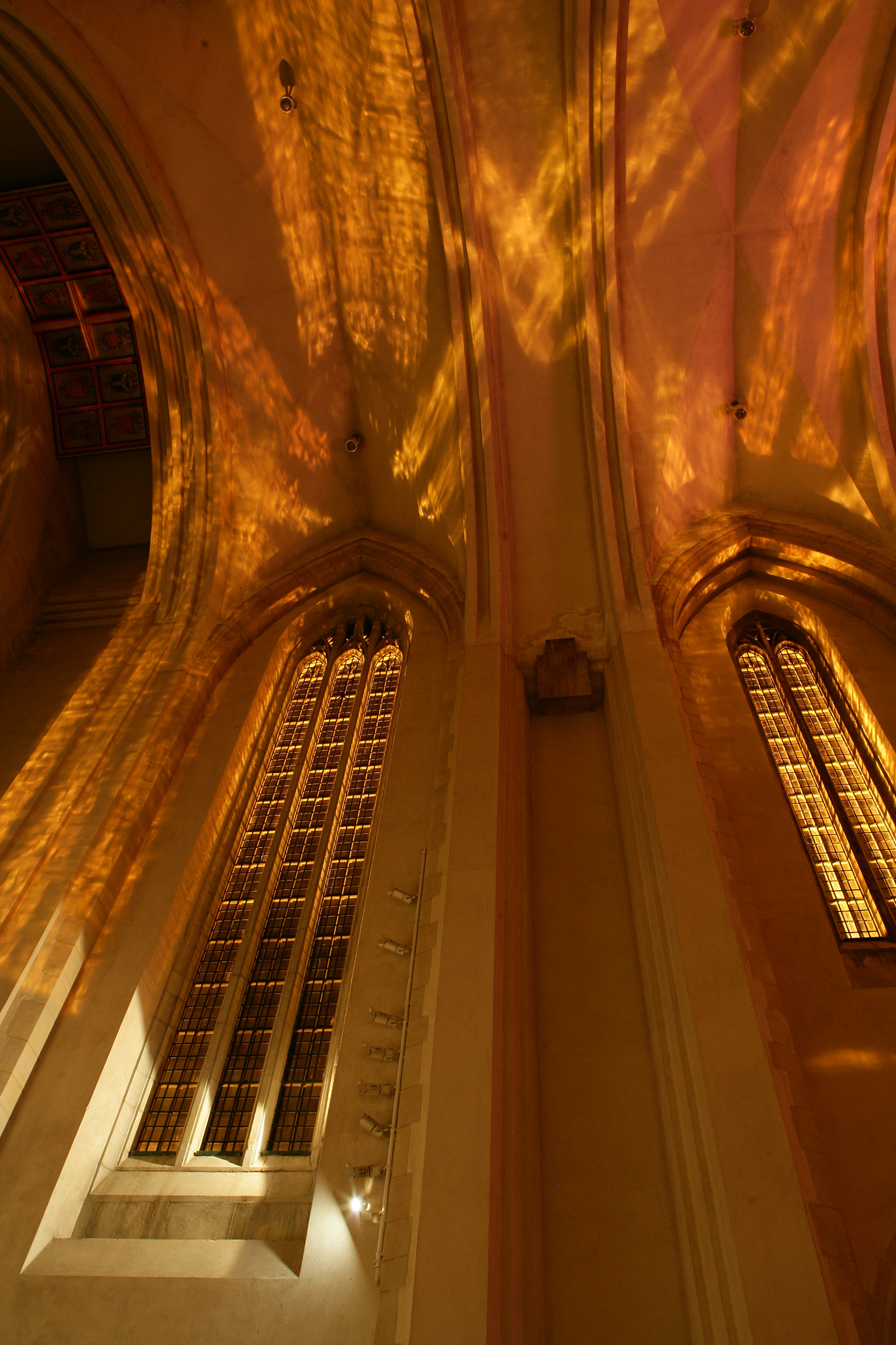 Canon TS-E 24mm f/3.5L sample photo. Cathedral photography