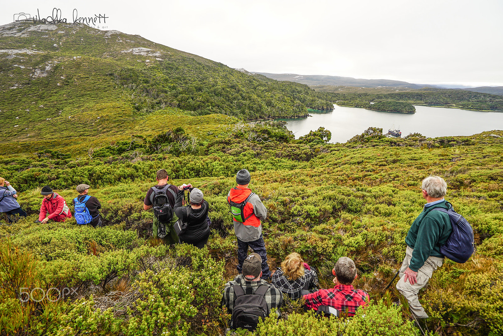 Sony a7S + Sony Vario-Tessar T* FE 16-35mm F4 ZA OSS sample photo. Stewart island discovery cruise photography