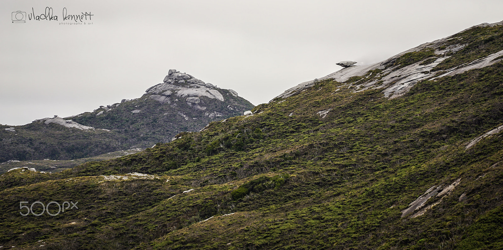 Sony a7S + Sony FE 70-200mm F4 G OSS sample photo. Stewart island discovery cruise photography