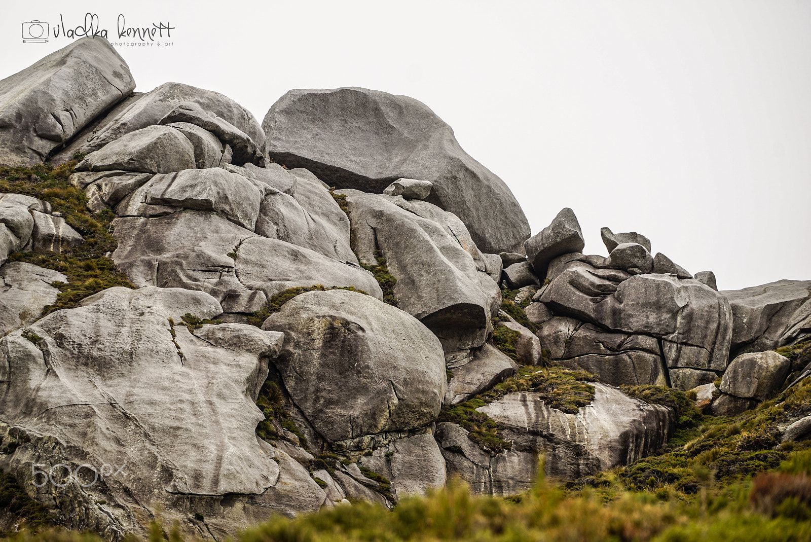 Sony a7S + Sony FE 70-200mm F4 G OSS sample photo. Stewart island discovery cruise photography