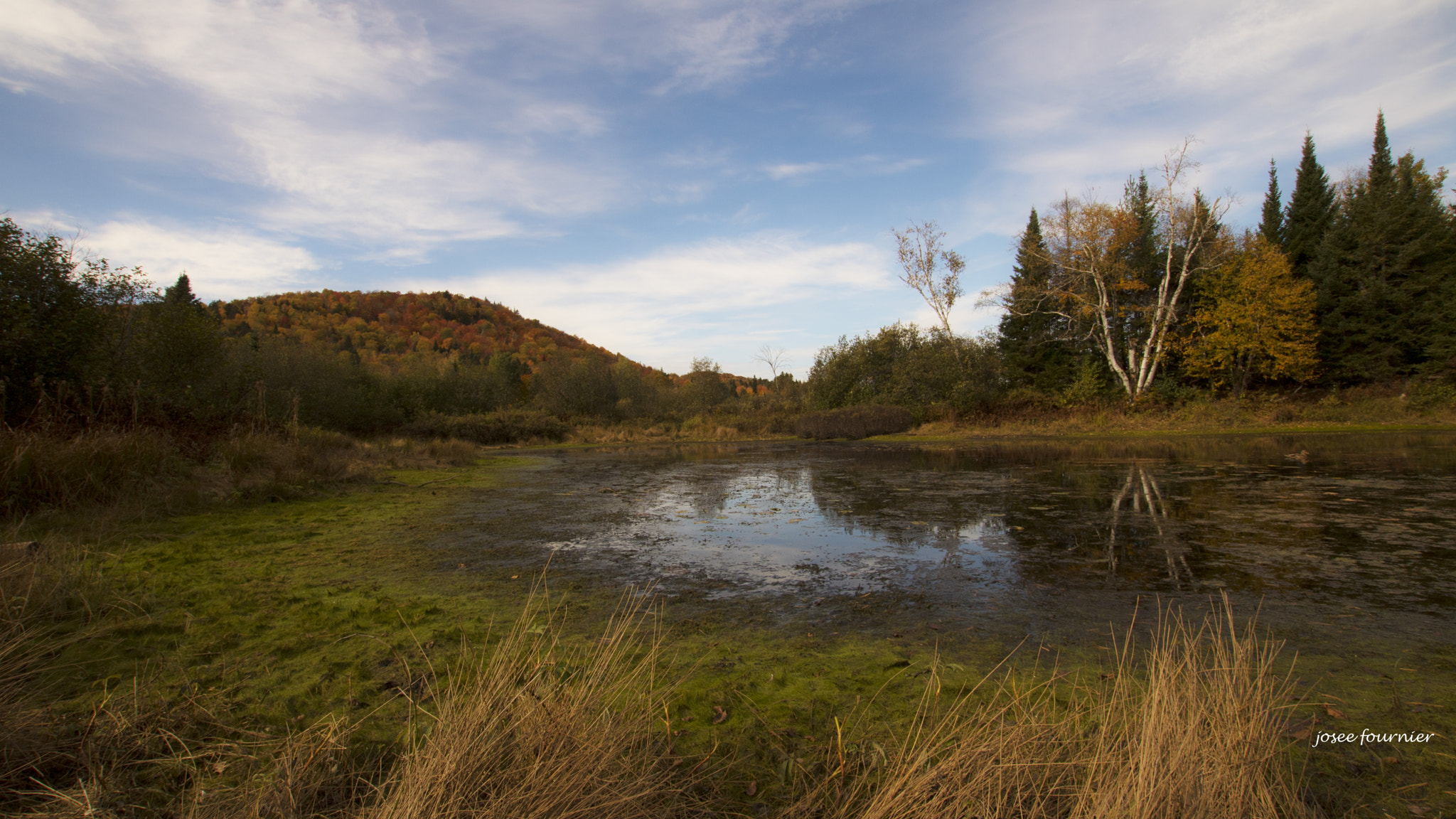 Canon EOS 760D (EOS Rebel T6s / EOS 8000D) sample photo. Val morin a photography