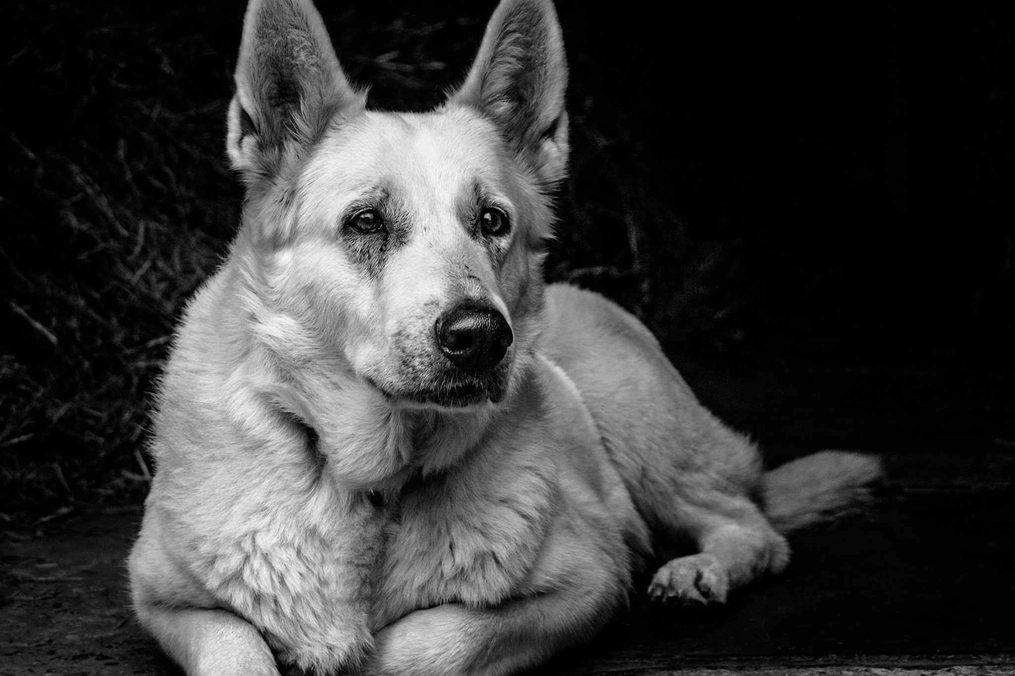 Canon EF 28-70mm f/3.5-4.5 sample photo. Shiela photography