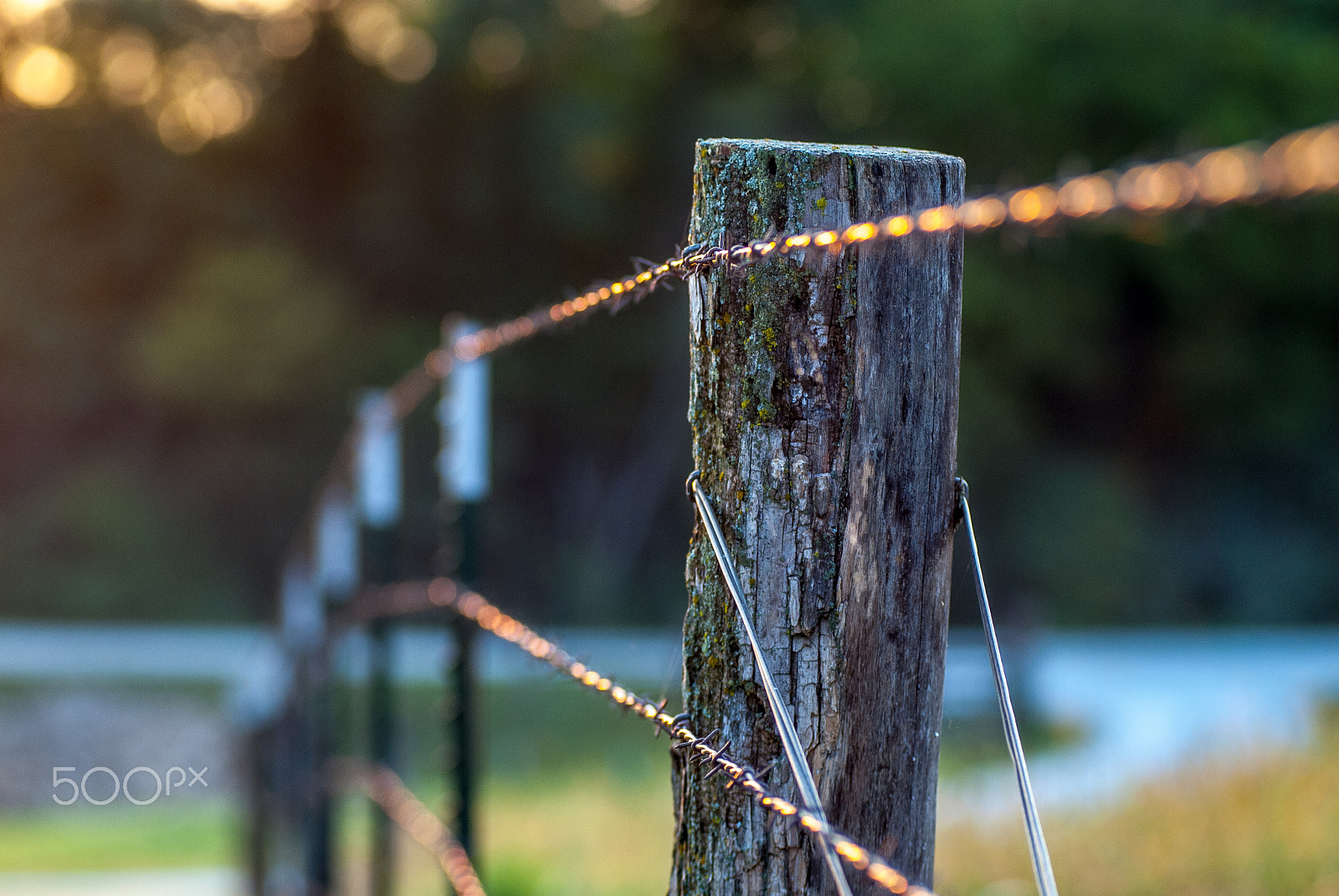 AF Zoom-Nikkor 80-200mm f/2.8 ED sample photo. Sunrise fence photography