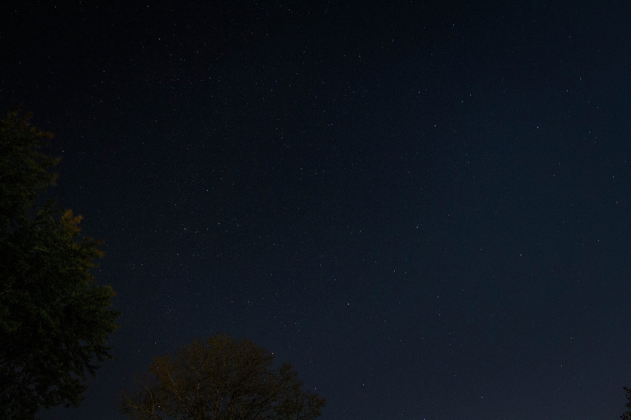 Samyang 14mm F2.8 ED AS IF UMC sample photo. Star gazing in wisconsin. photography