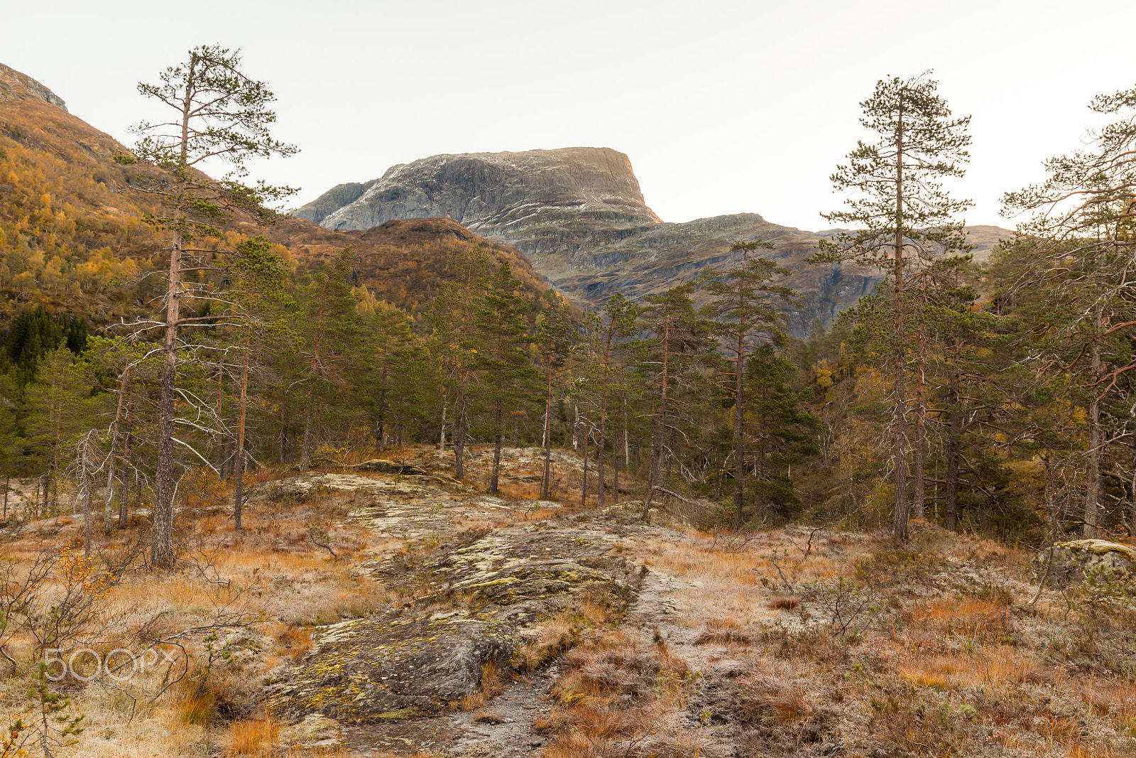 Canon EOS 5D Mark II + Canon EF 16-35mm F4L IS USM sample photo. Vasfjøro photography