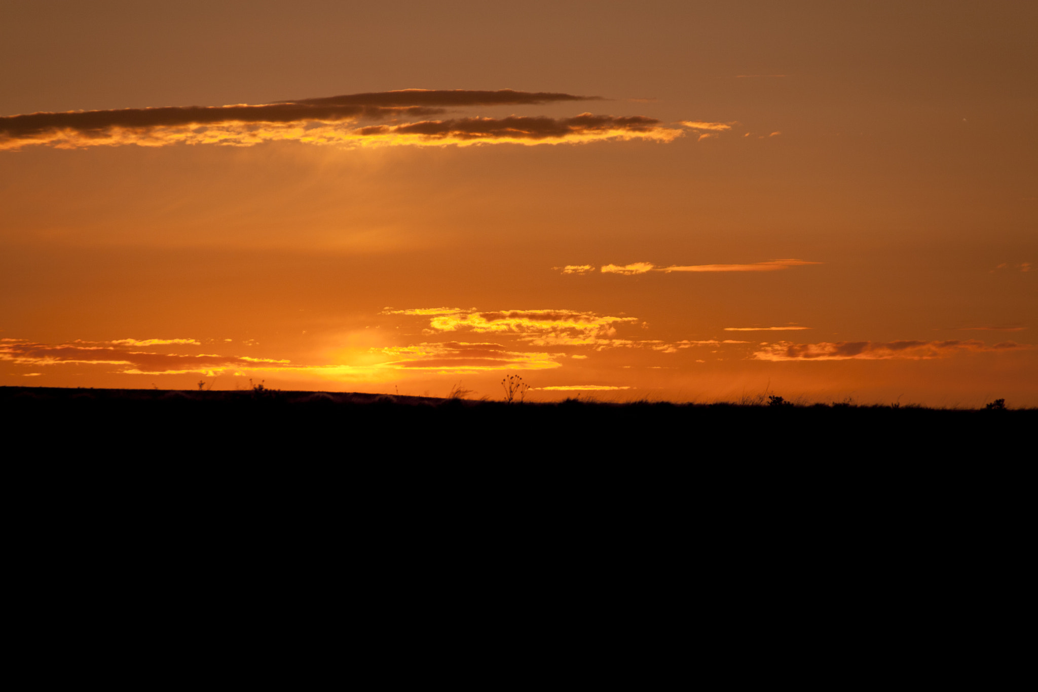 Canon EOS 30D sample photo. Golden hour in arizona photography
