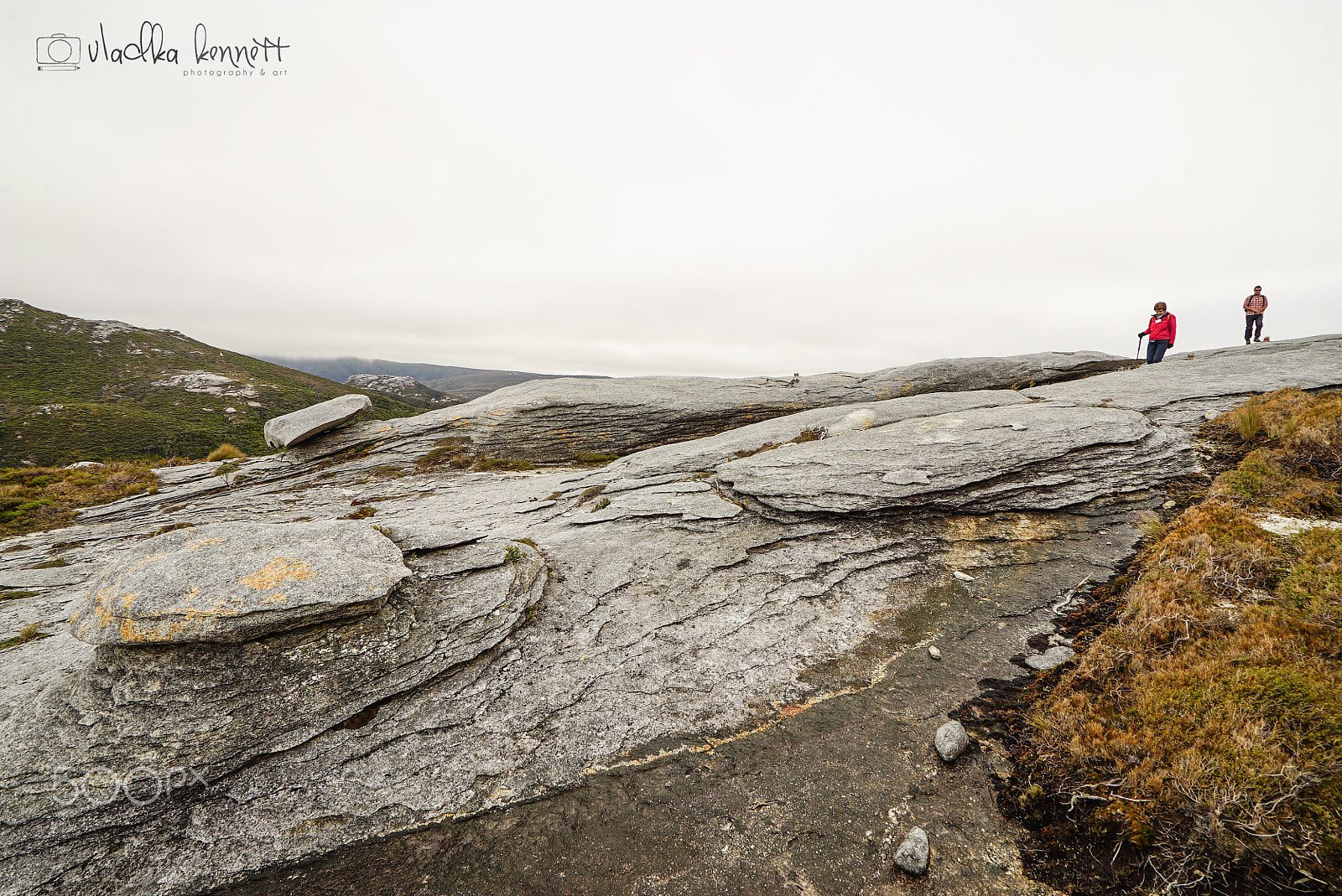 Sony a7S + Sony Vario-Tessar T* FE 16-35mm F4 ZA OSS sample photo. Stewart island discovery cruise photography