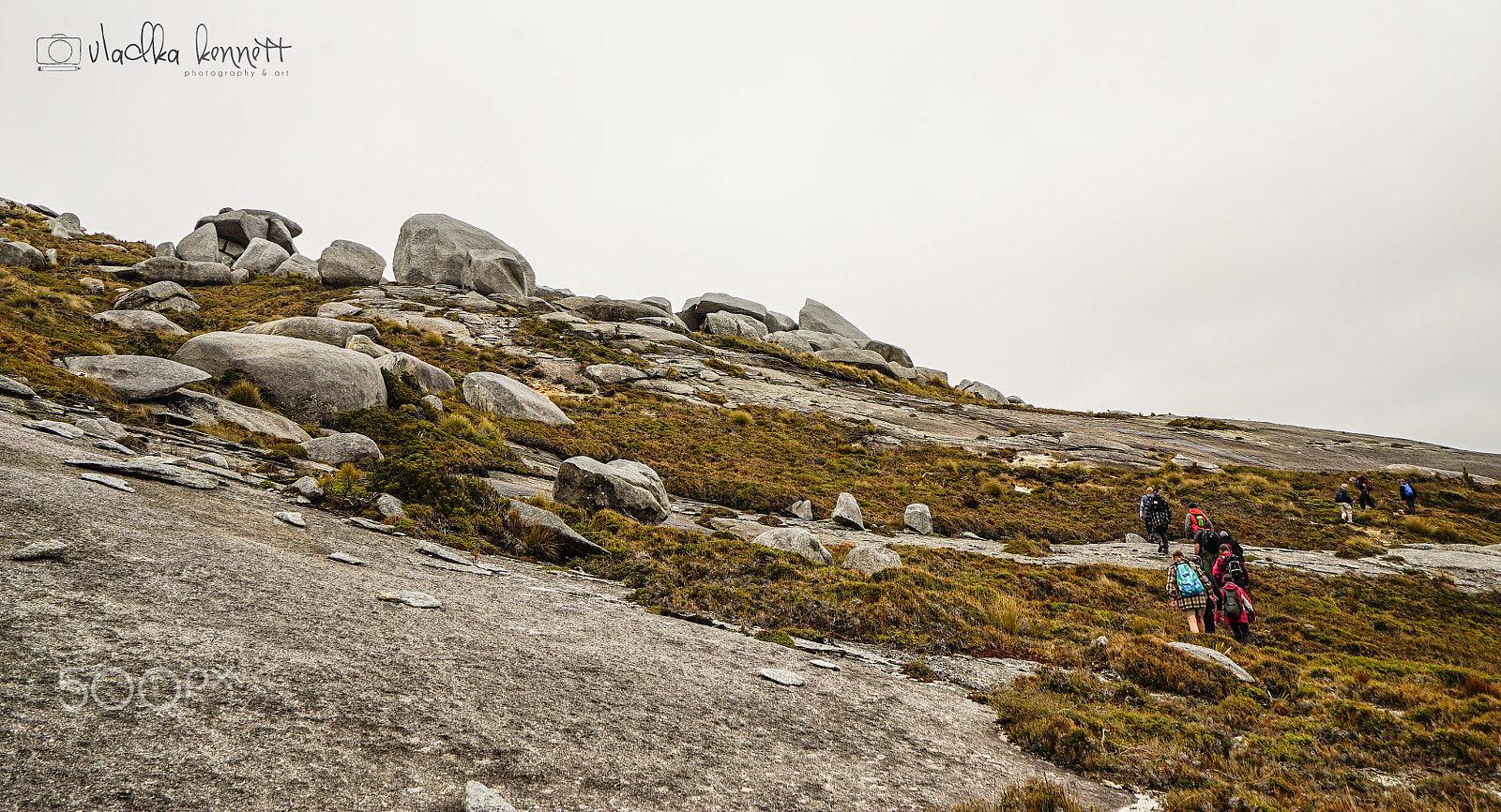 Sony a7S + Sony Vario-Tessar T* FE 16-35mm F4 ZA OSS sample photo. Stewart island discovery cruise photography