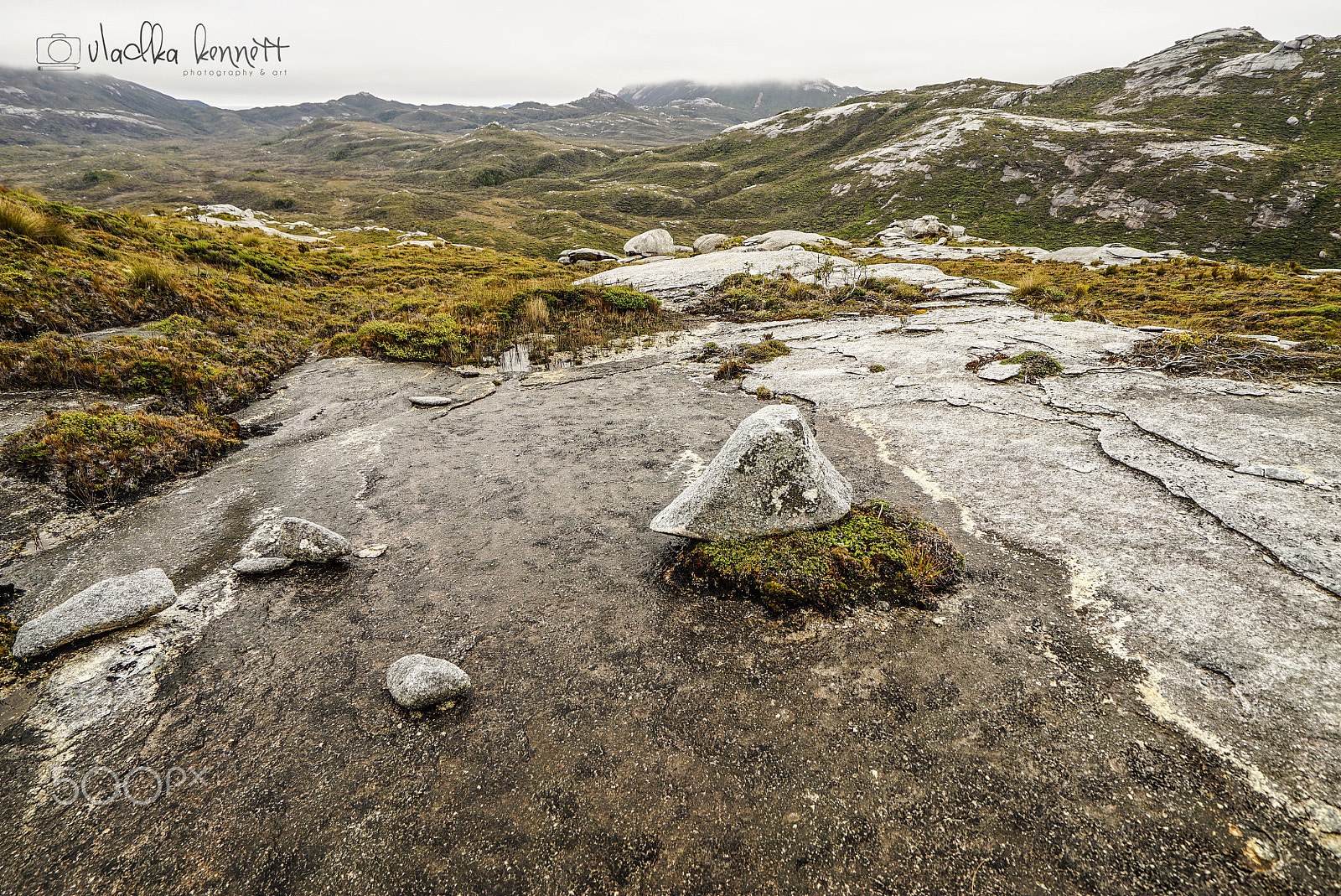 Sony a7S + Sony Vario-Tessar T* FE 16-35mm F4 ZA OSS sample photo. Stewart island discovery cruise photography