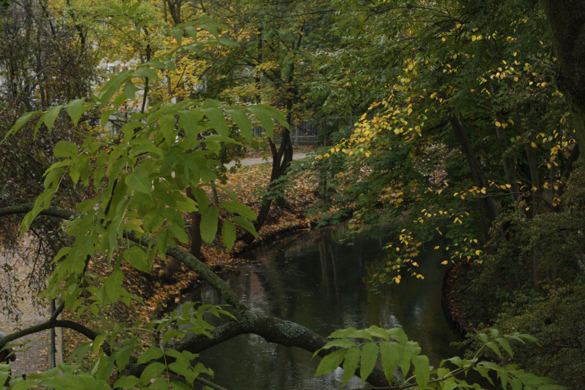 Canon EF 35-80mm f/4-5.6 sample photo. Green bridge photography