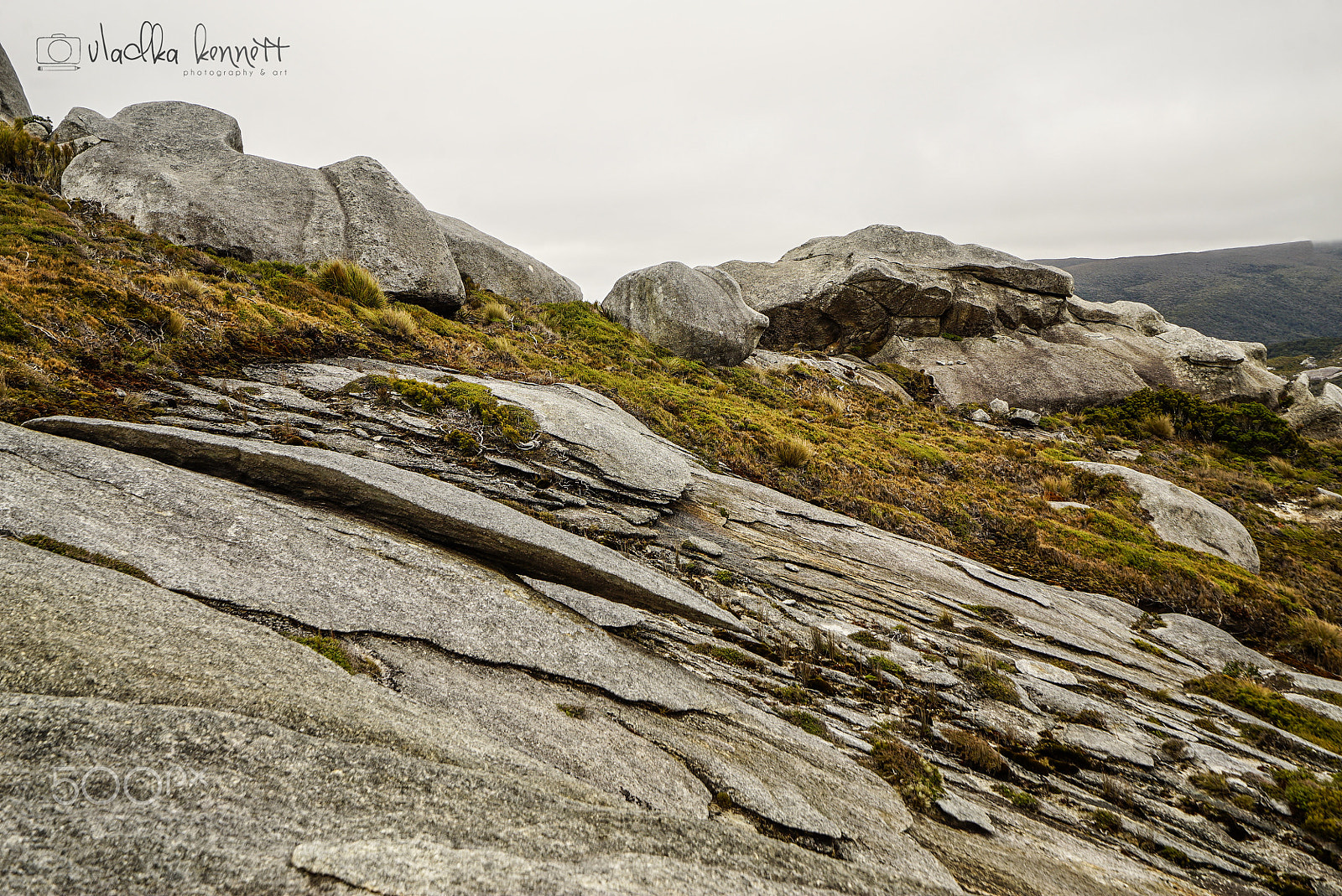 Sony a7S + Sony Vario-Tessar T* FE 16-35mm F4 ZA OSS sample photo. Stewart island discovery cruise photography