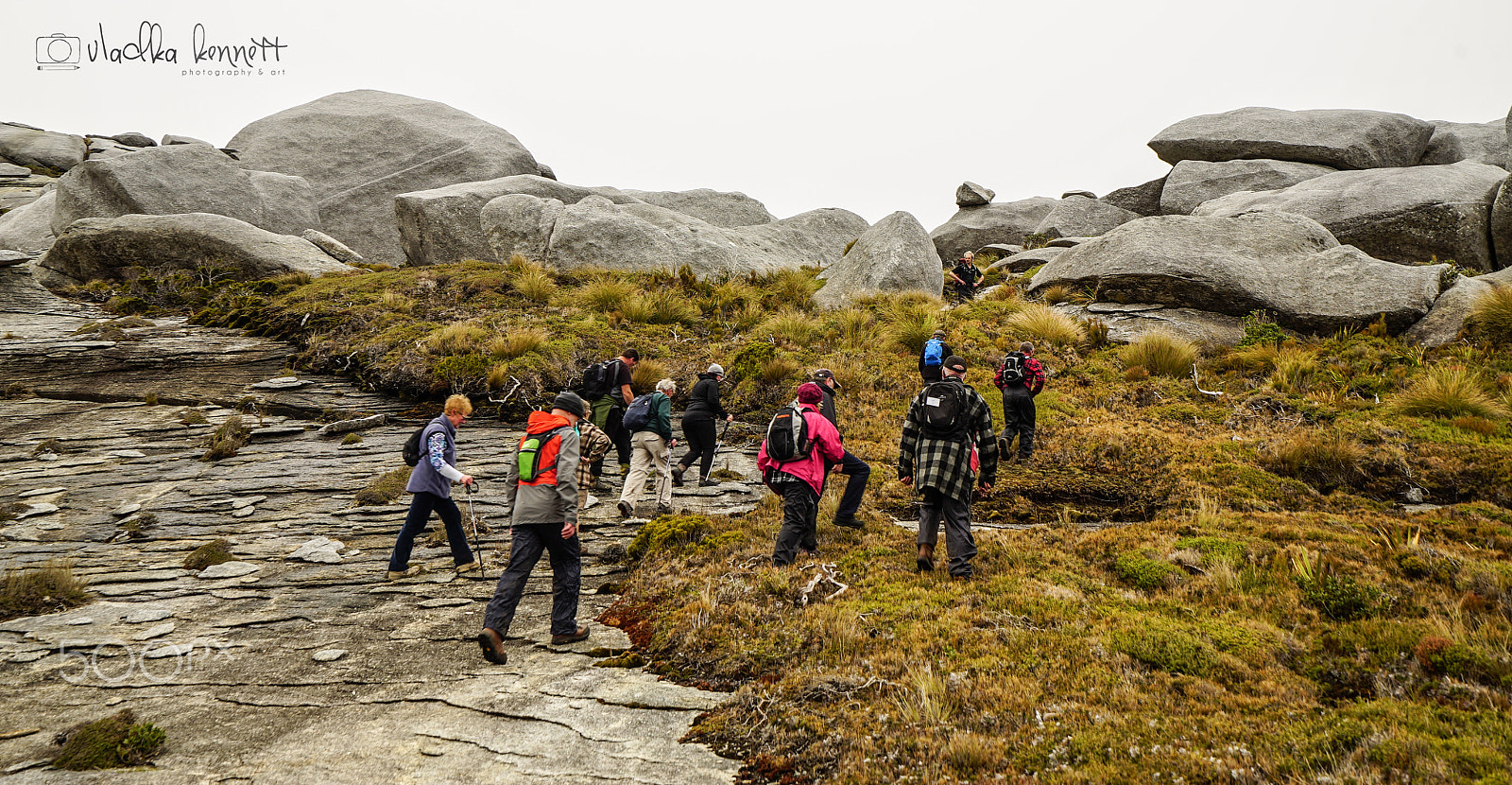 Sony a7S + Sony Vario-Tessar T* FE 16-35mm F4 ZA OSS sample photo. Stewart island discovery cruise photography