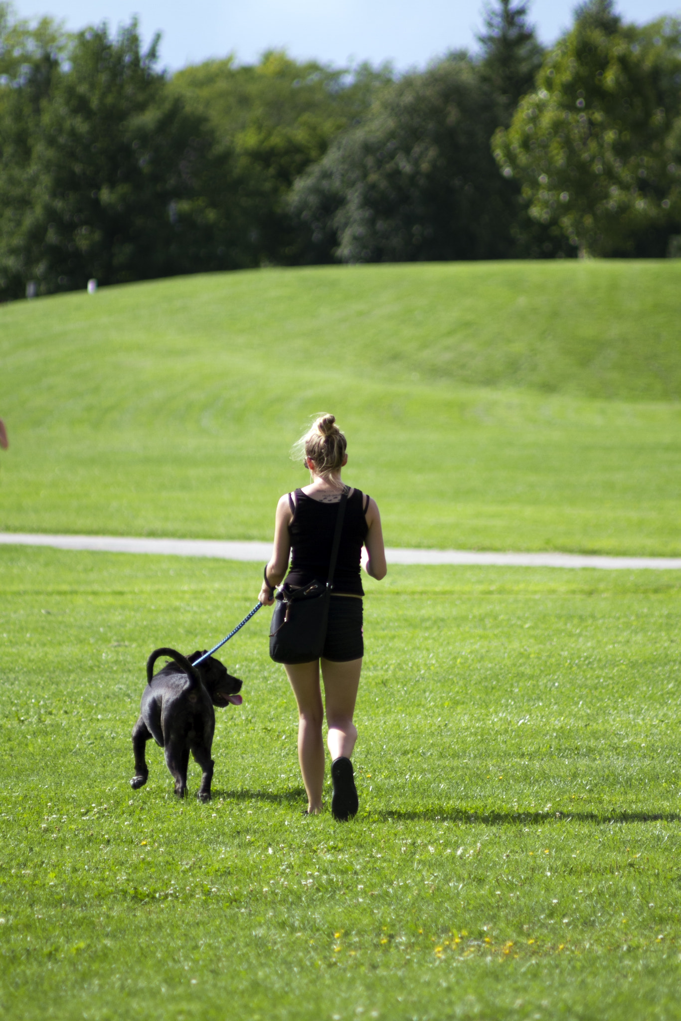 Canon EOS 7D + Canon EF 70-210mm f/4 sample photo. London white oak park photography