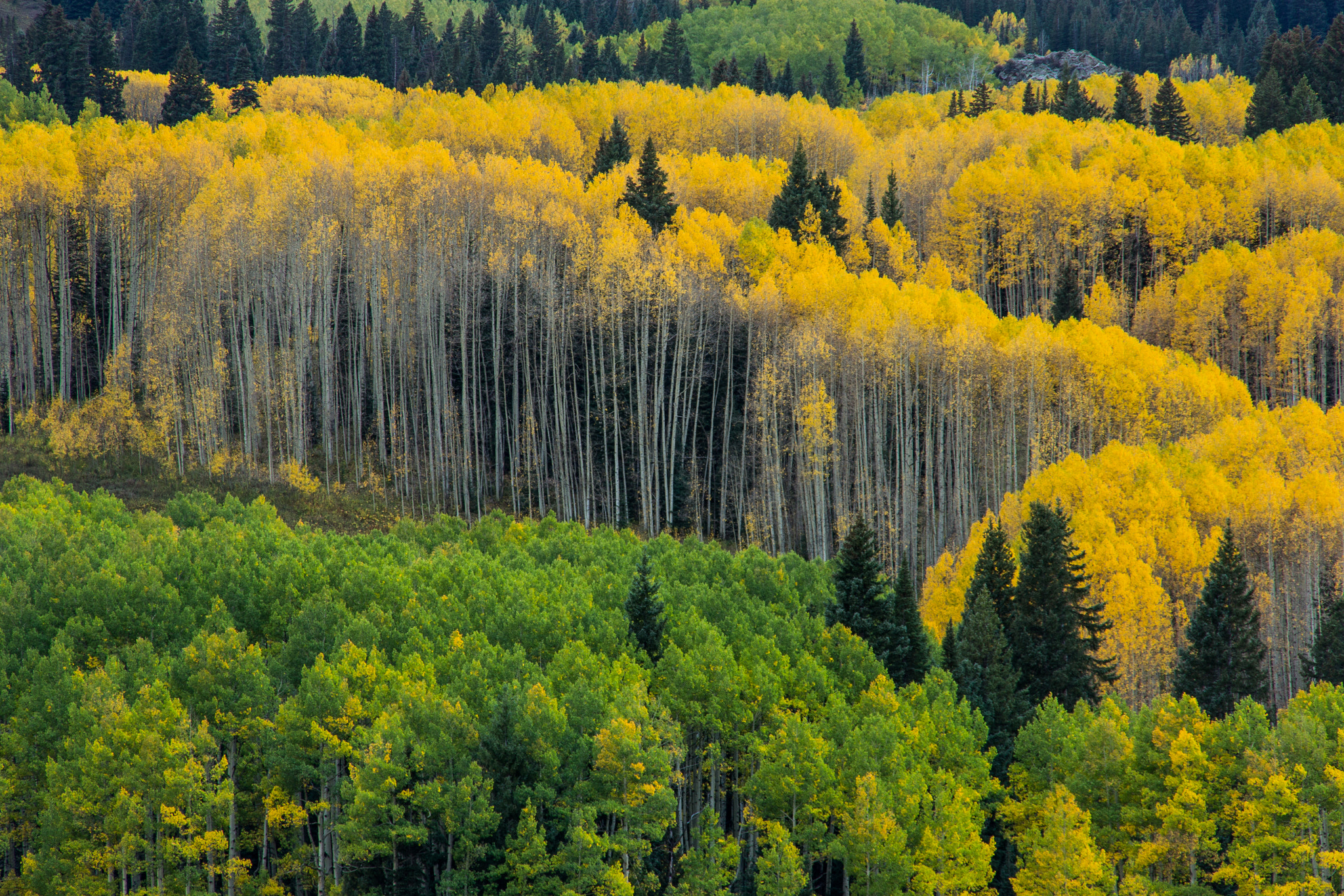 Sigma 18-200mm f/3.5-6.3 DC OS sample photo. Fall around kebler pass photography