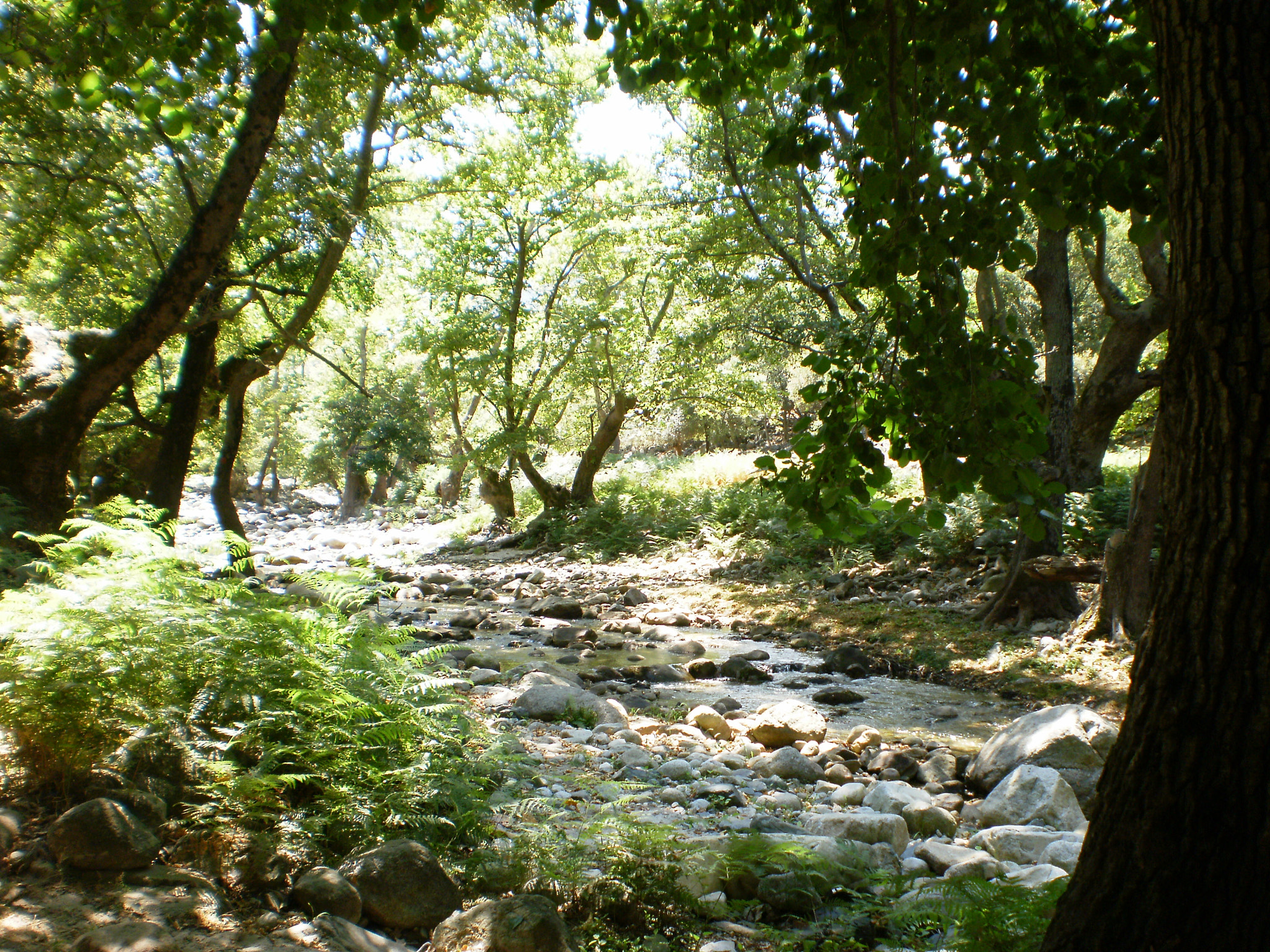 Olympus FE26,X21 sample photo. Beautiful place...fonias canyon ...samothraki photography