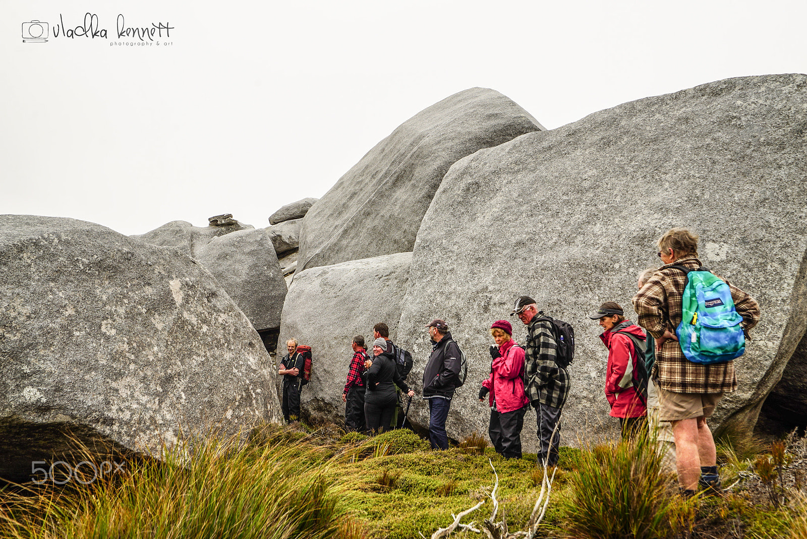 Sony a7S + Sony Vario-Tessar T* FE 16-35mm F4 ZA OSS sample photo. Stewart island discovery cruise photography