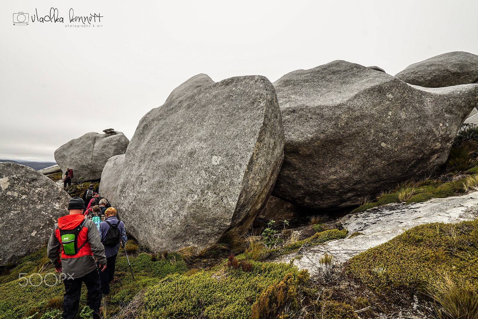 Sony a7S + Sony Vario-Tessar T* FE 16-35mm F4 ZA OSS sample photo. Stewart island discovery cruise photography