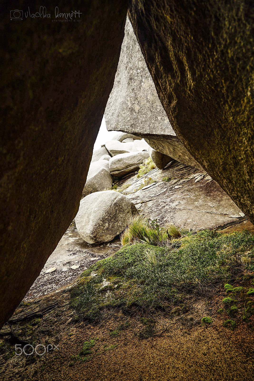 Sony a7S + Sony Vario-Tessar T* FE 16-35mm F4 ZA OSS sample photo. Stewart island discovery cruise photography